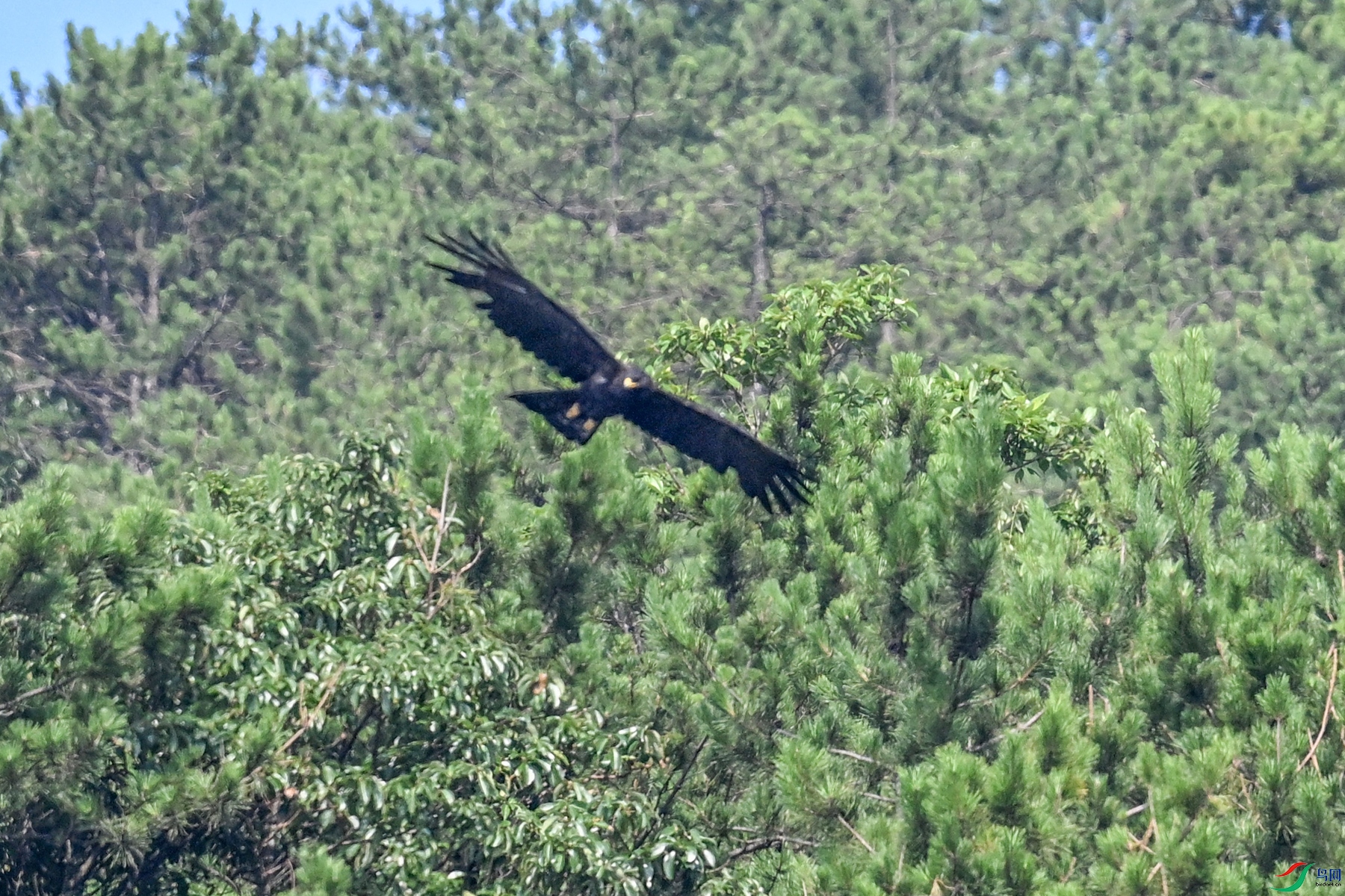DSC_4448.JPG