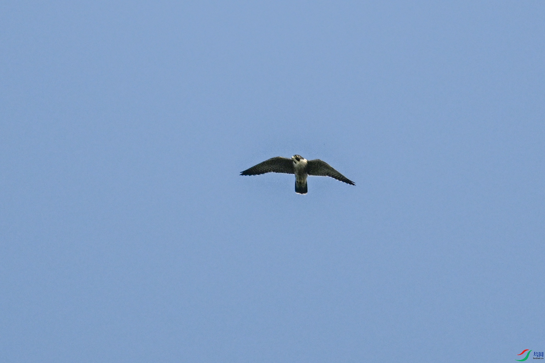 DSC_4481.JPG