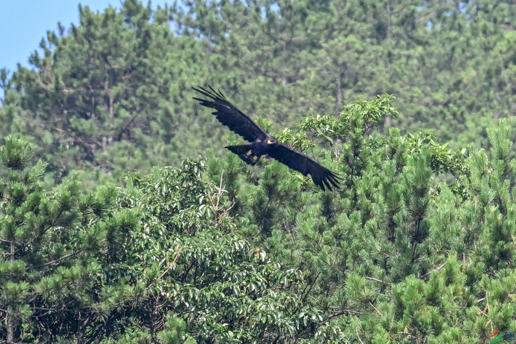 DSC_4447.JPG