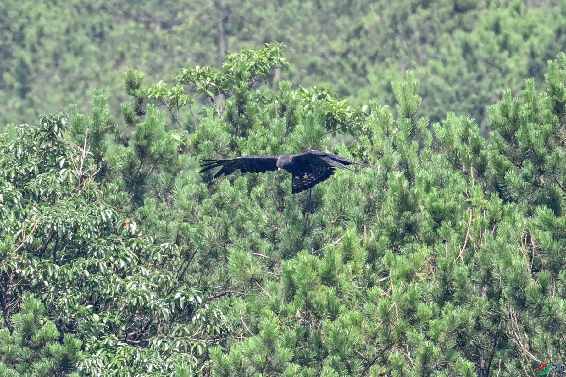 DSC_4443.JPG