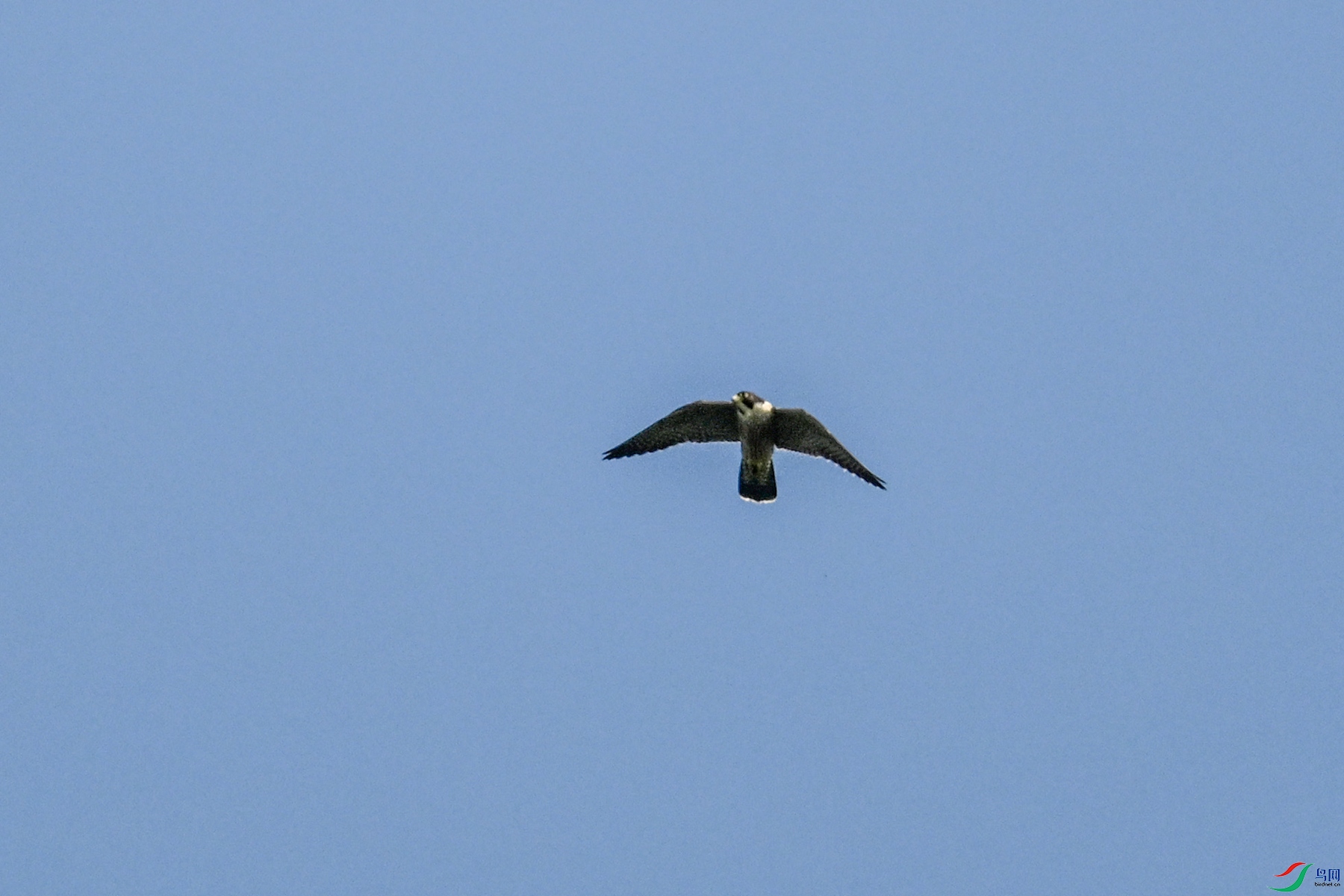 DSC_4483.JPG