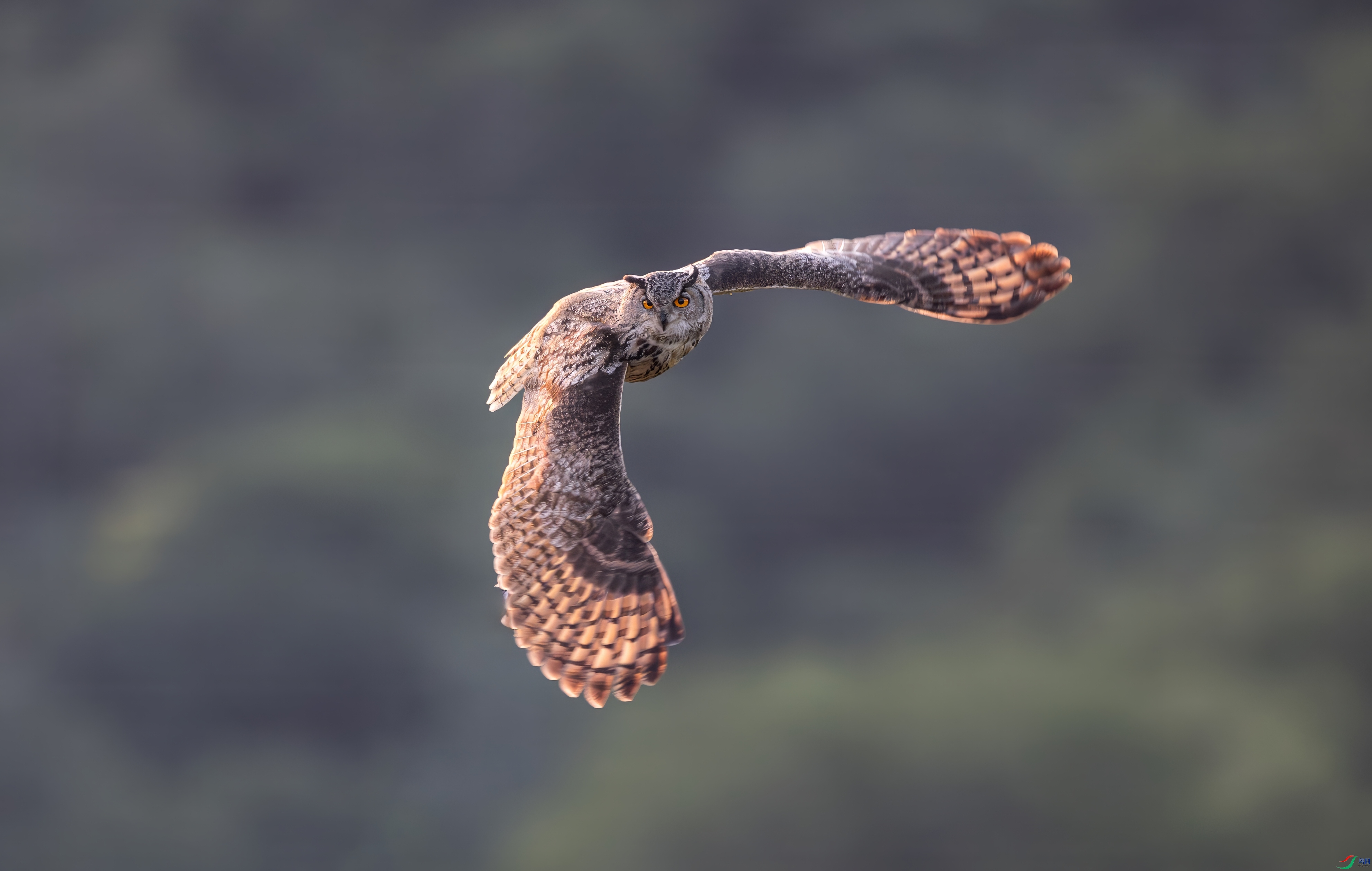 0L0A6475-topaz-denoise.jpeg
