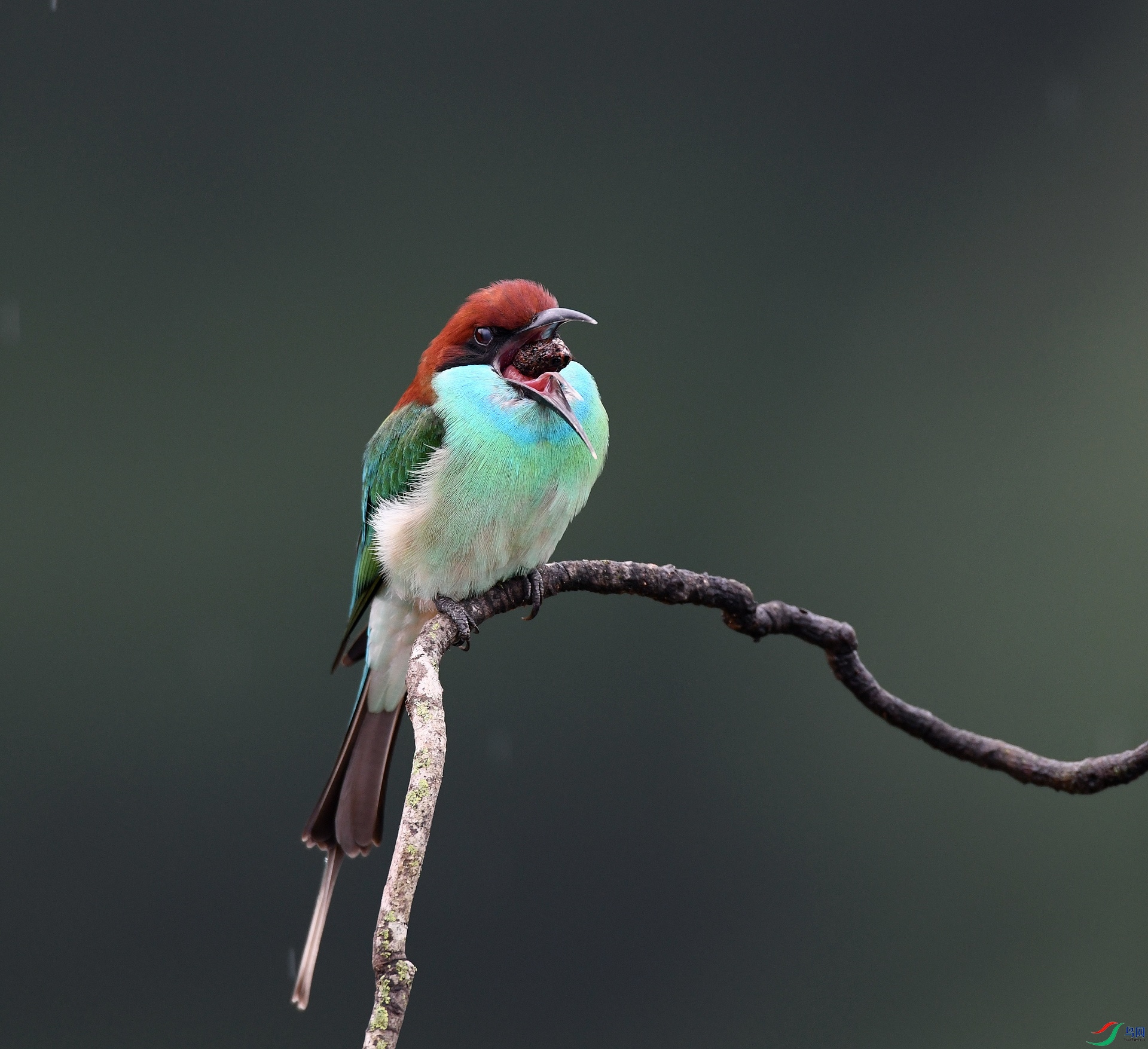 DSC_5030.jpg