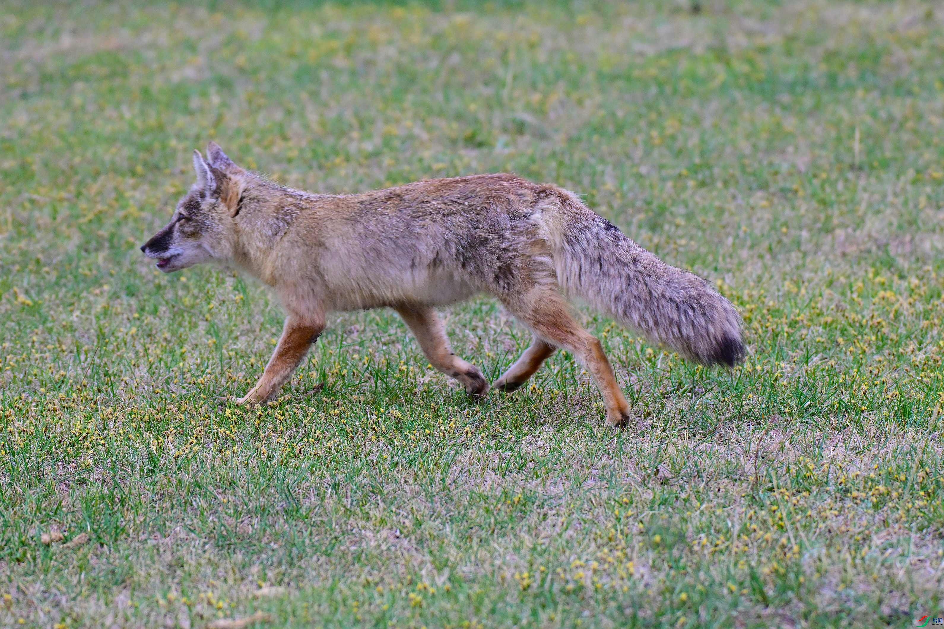 DSC_1796.JPG