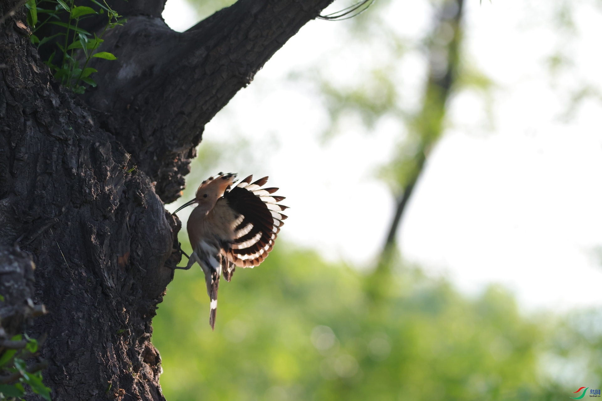 3Q6A6422.JPG