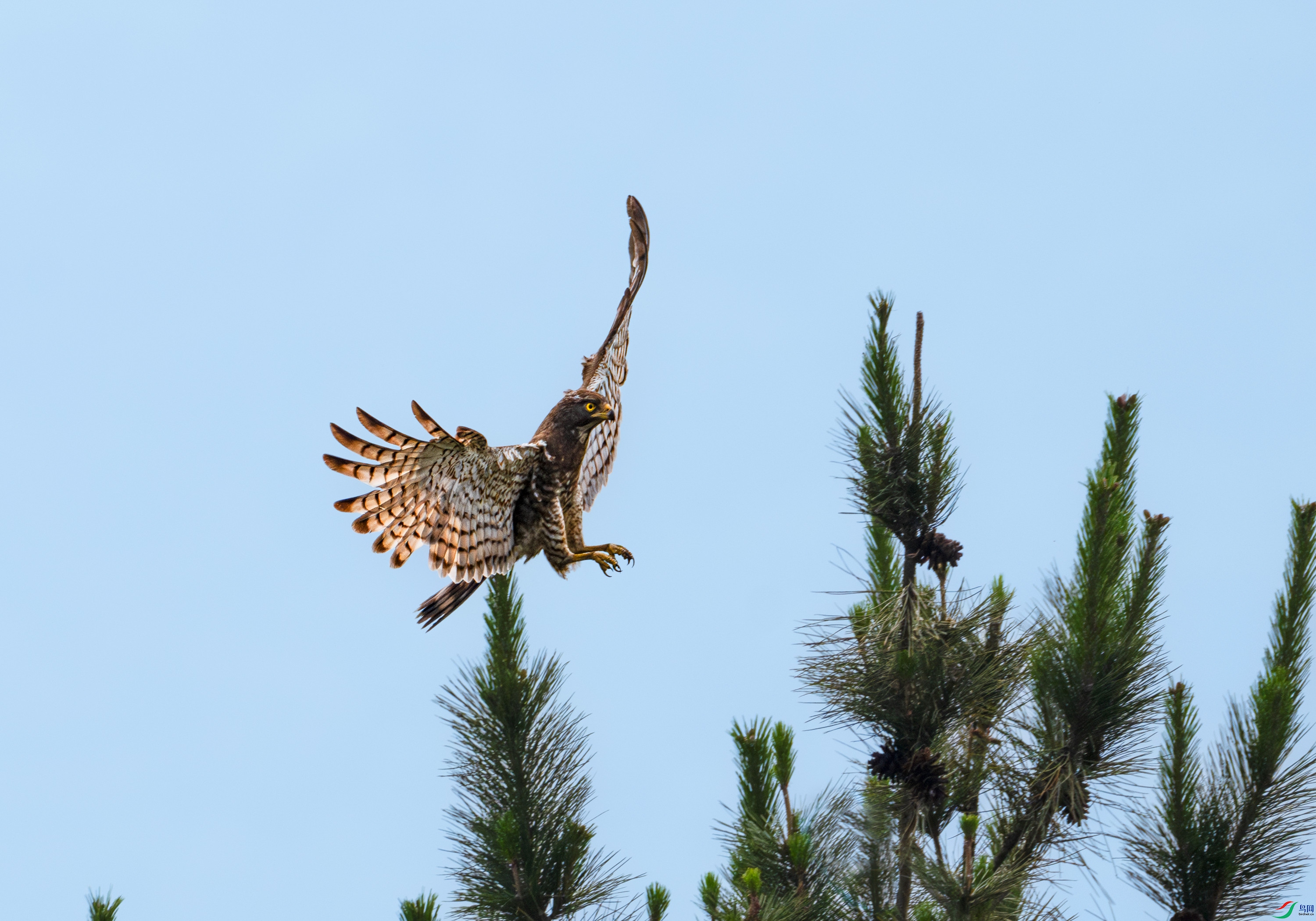 DSC_3119.jpg