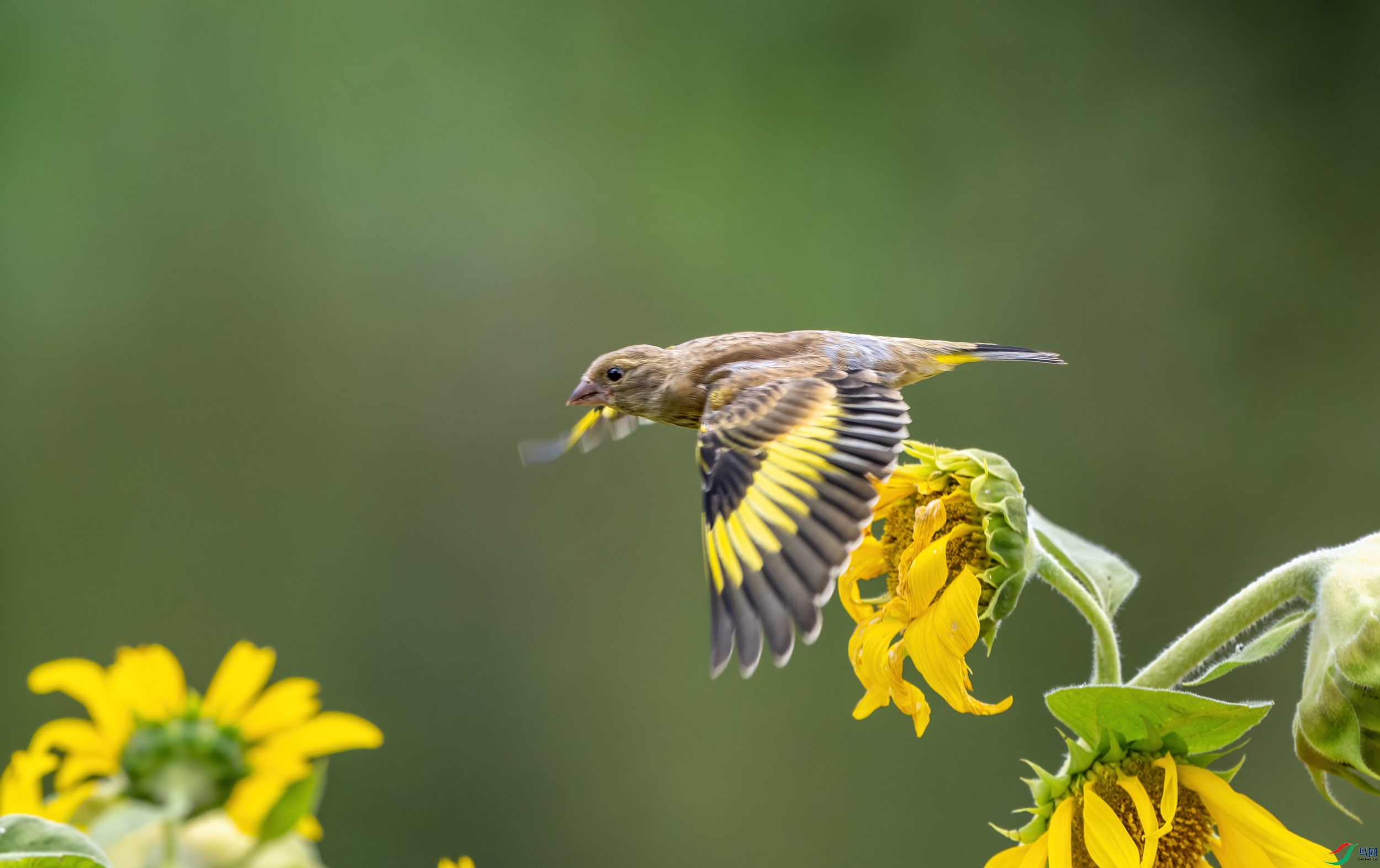 LBA04723-11.jpg