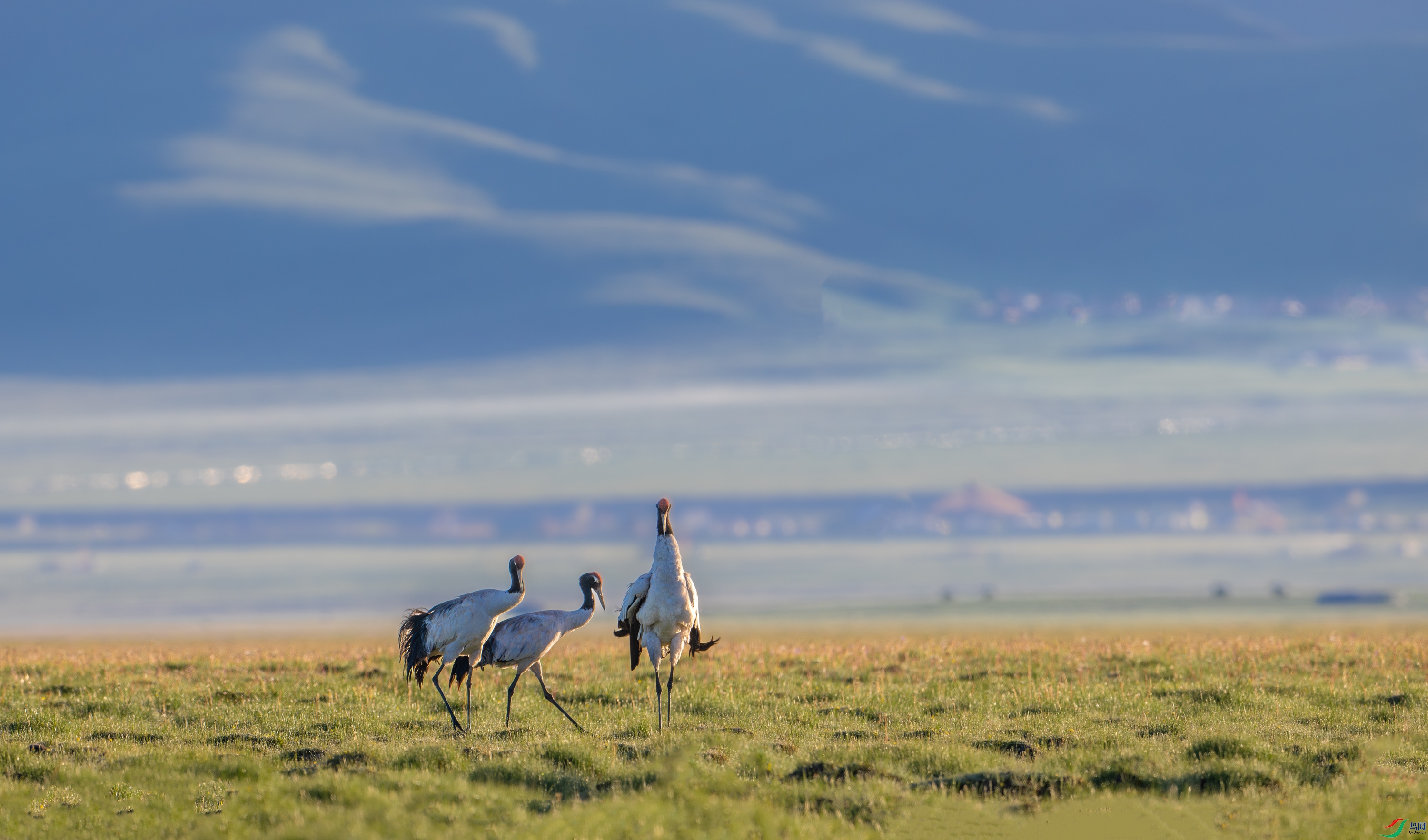 DSC_1511-1.jpg