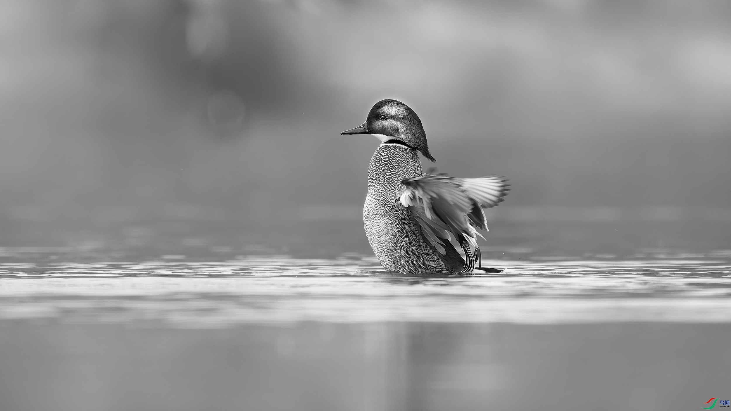 DSC_8975_DxO.jpg