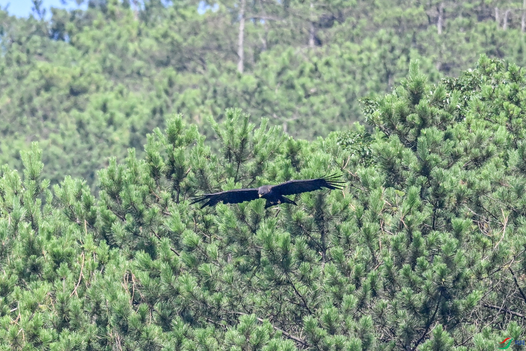 DSC_4440.JPG