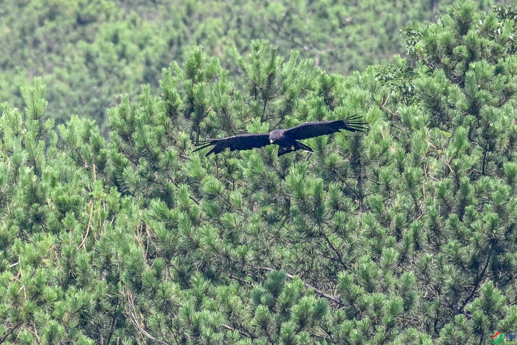 DSC_4441.JPG