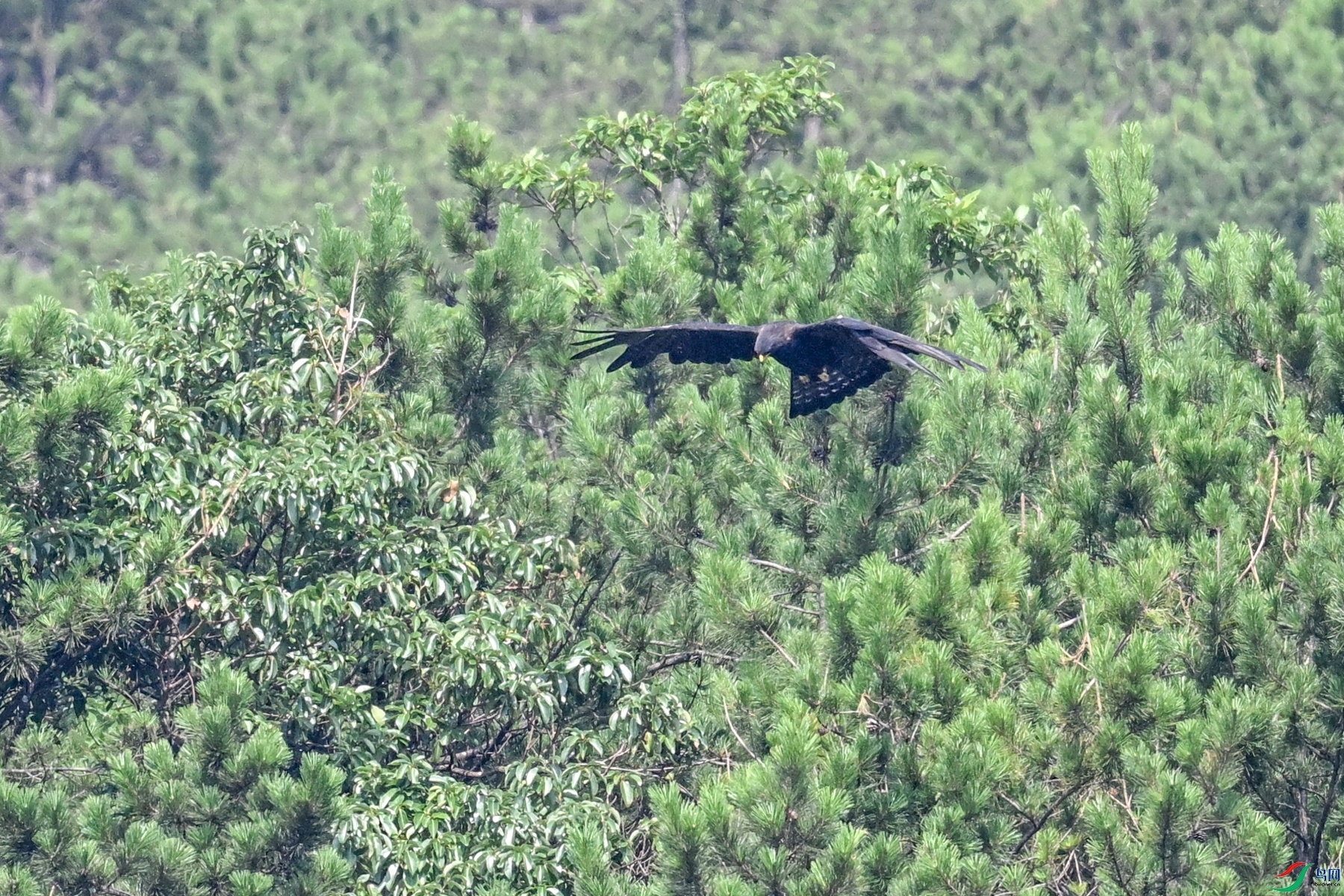 DSC_4444.JPG