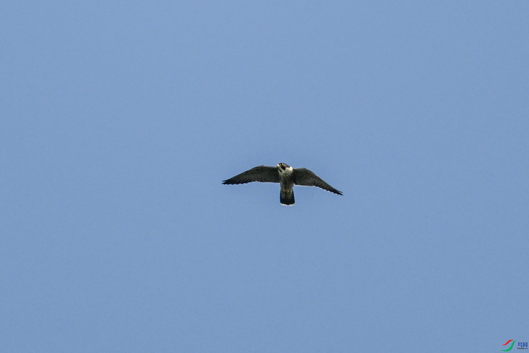 DSC_4482.JPG