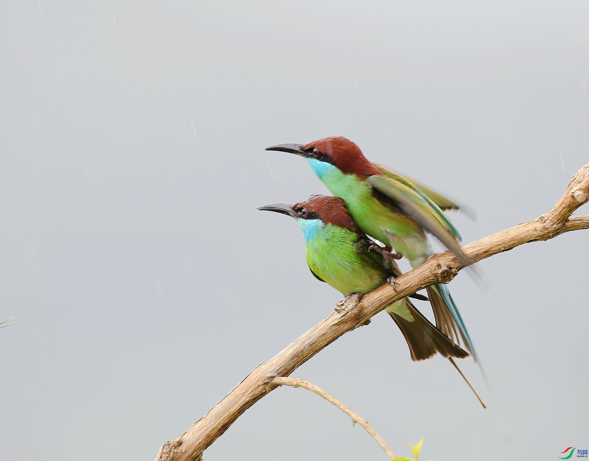 DSC_1334.jpg