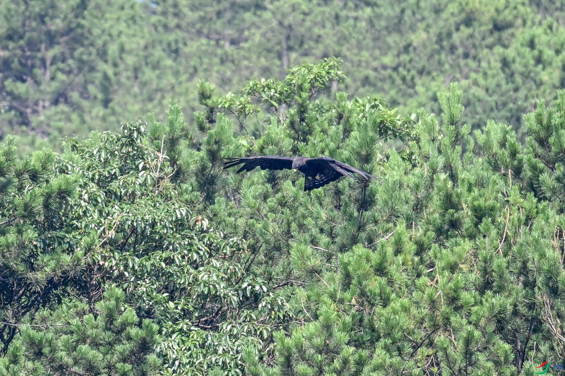 DSC_4445.JPG