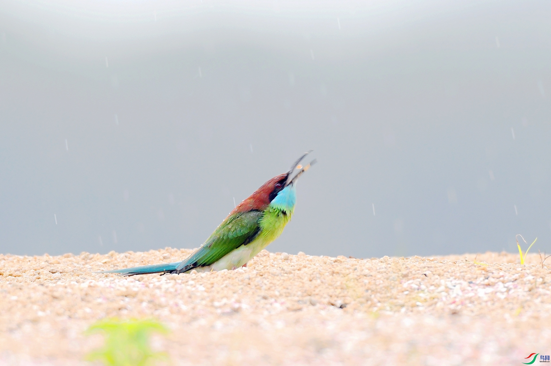 DSC_1304.jpg
