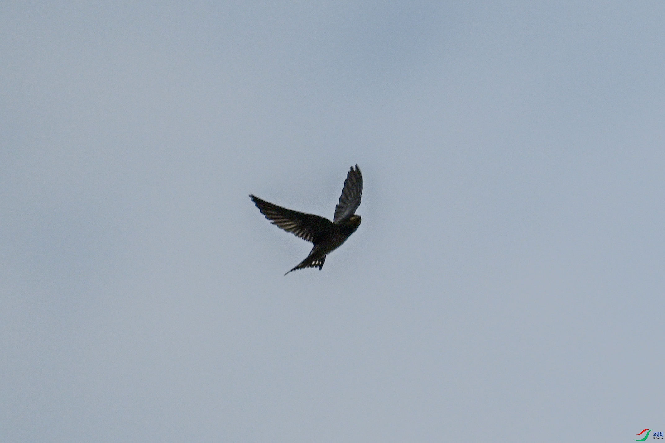 DSC_0047.JPG