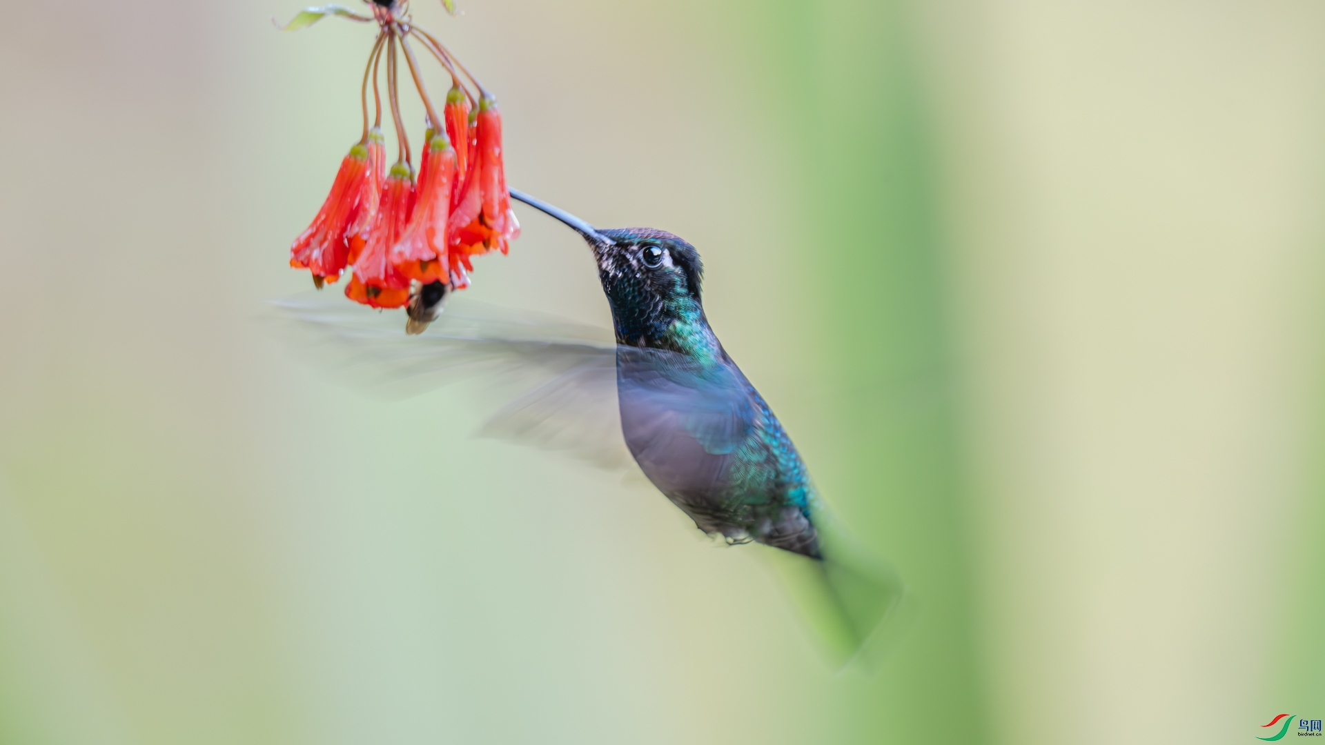 DSC_3829-����ǿ-NR.jpg