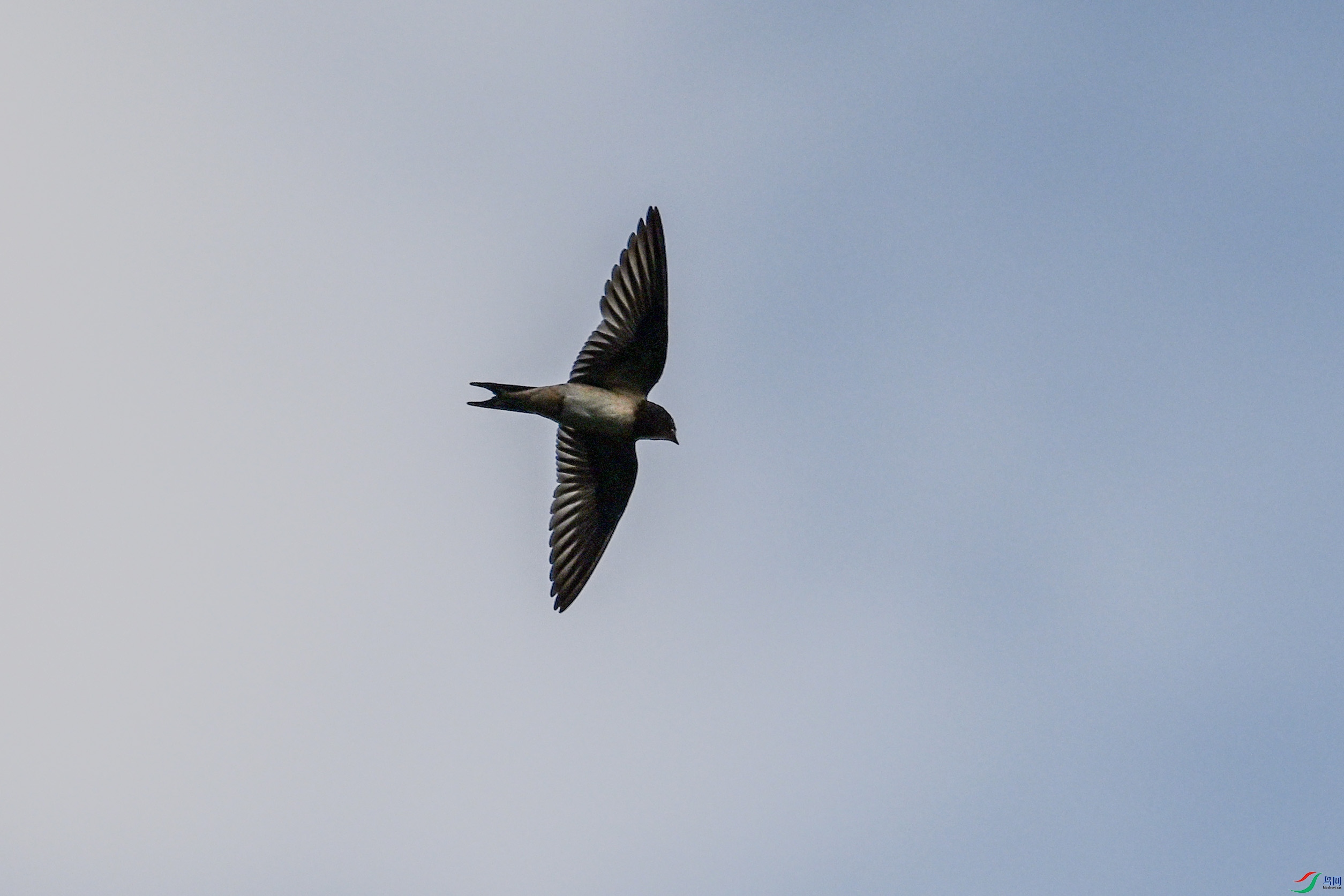 DSC_0041.JPG
