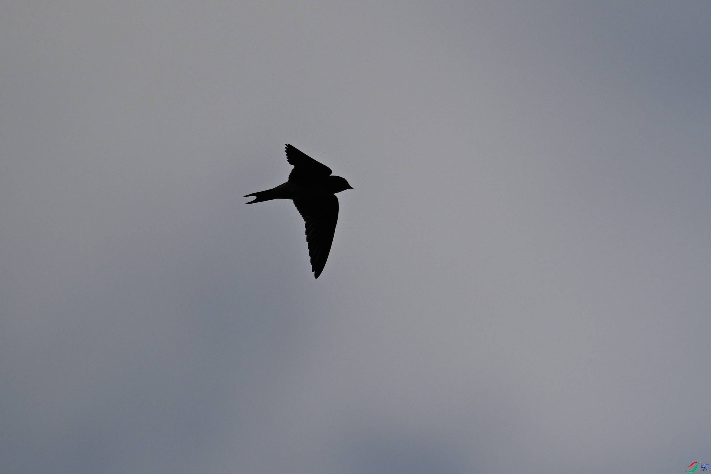 DSC_0039.JPG