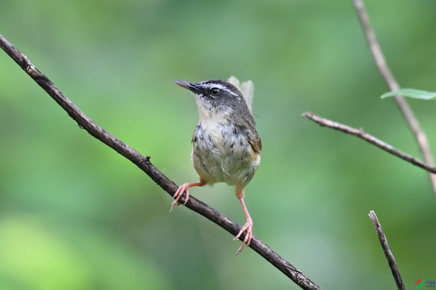 DSC_0034.JPG