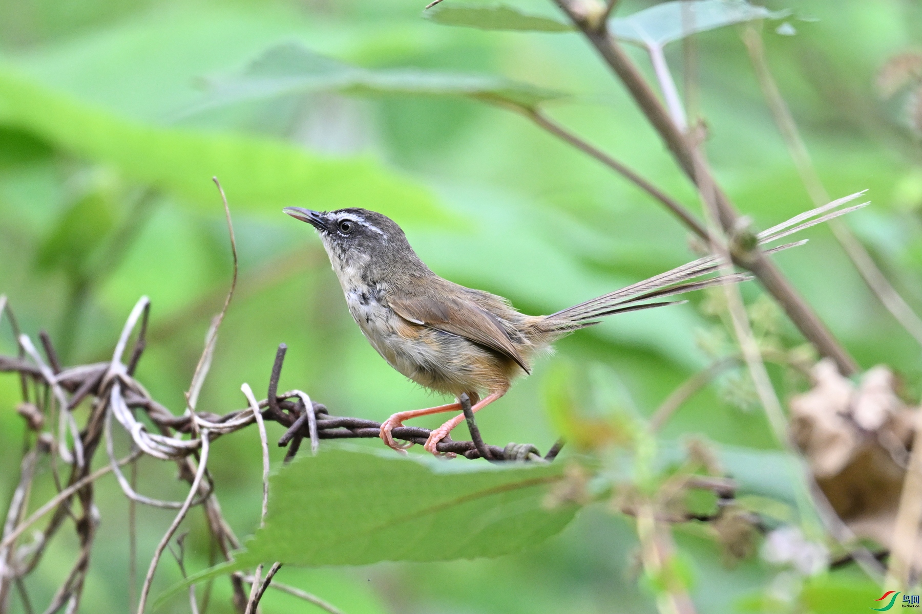 DSC_0015.JPG