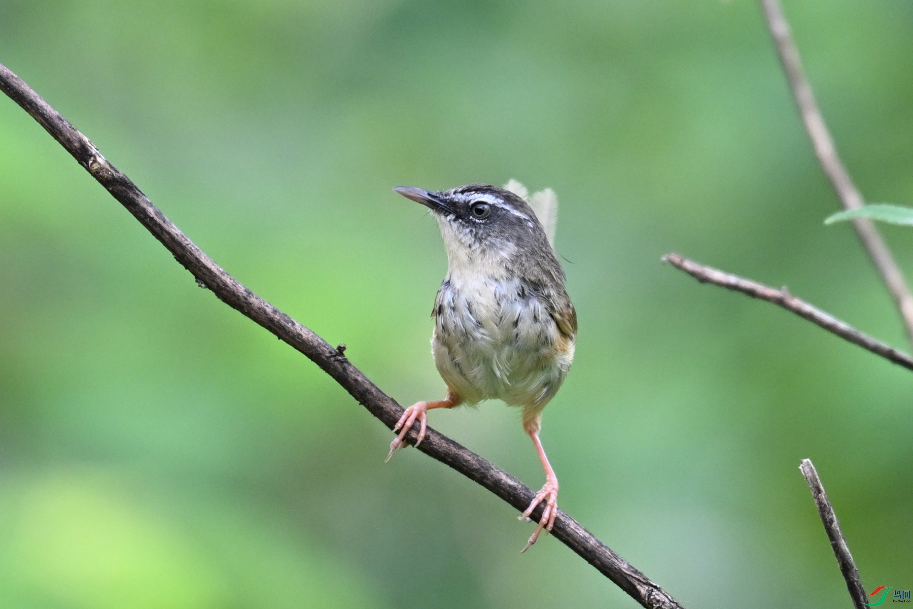 DSC_0031.JPG