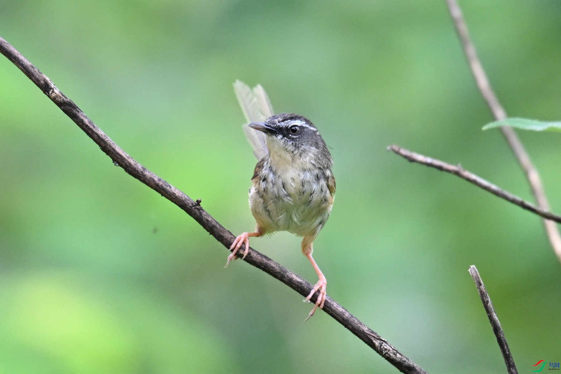 DSC_0028.JPG