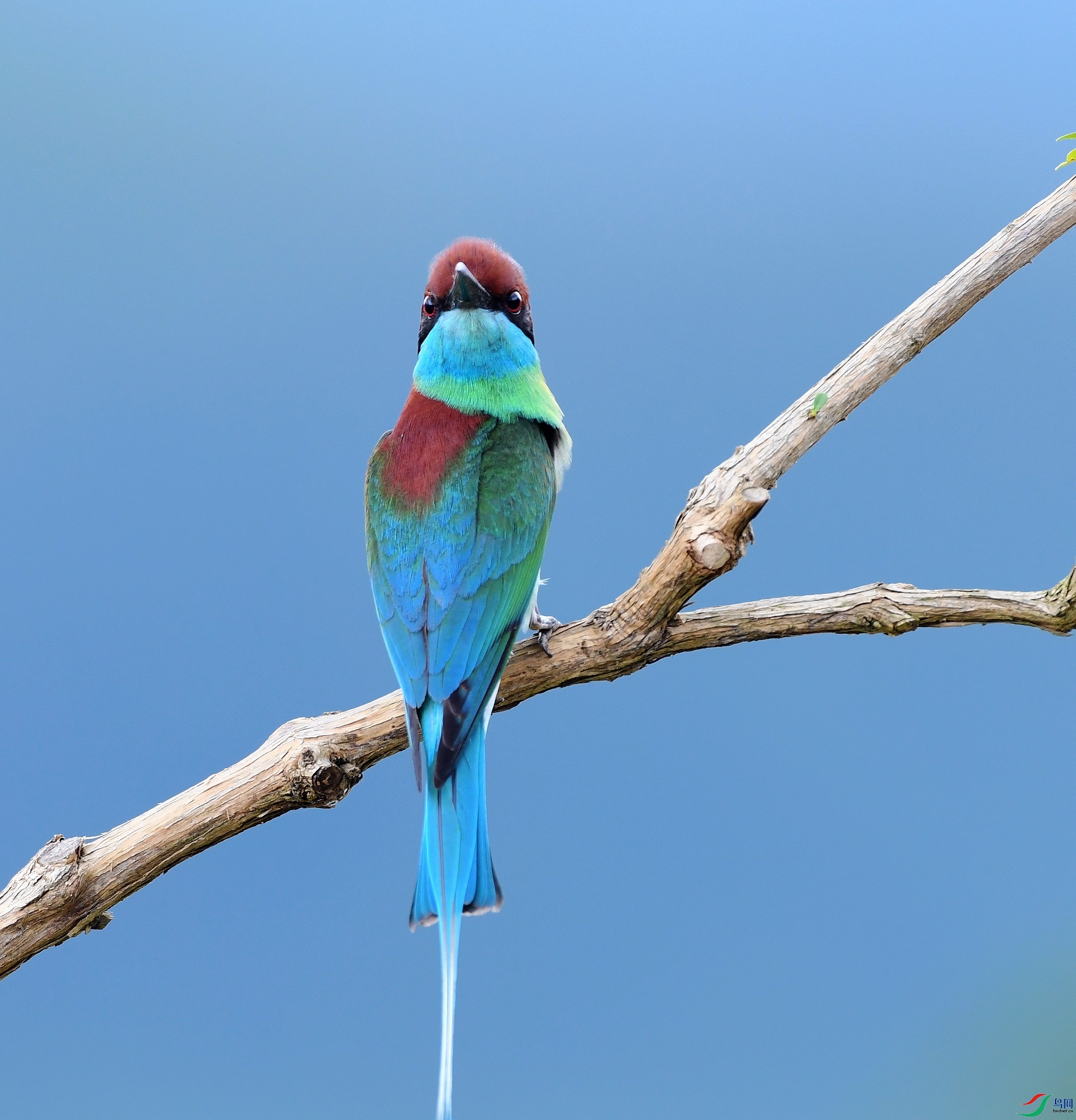 DSC_0973.jpg