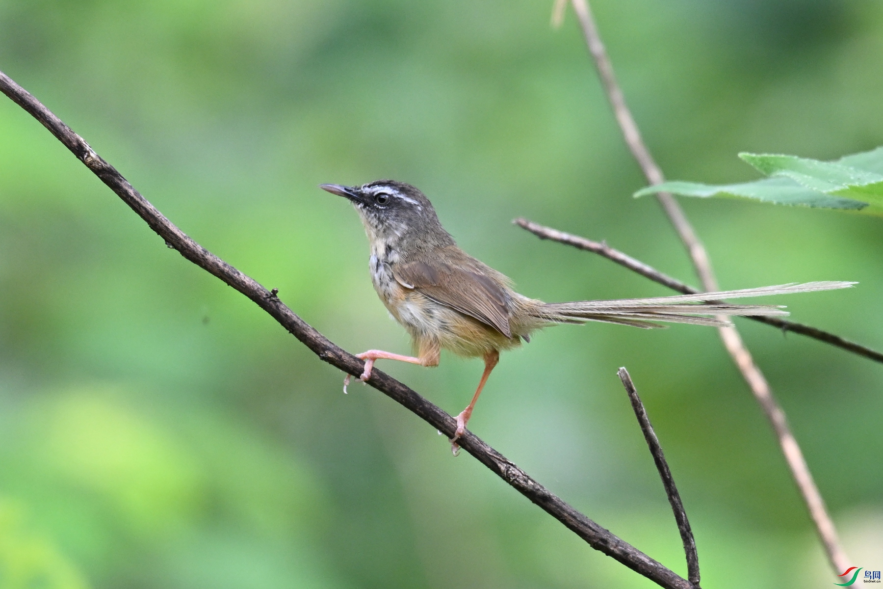 DSC_0020.JPG