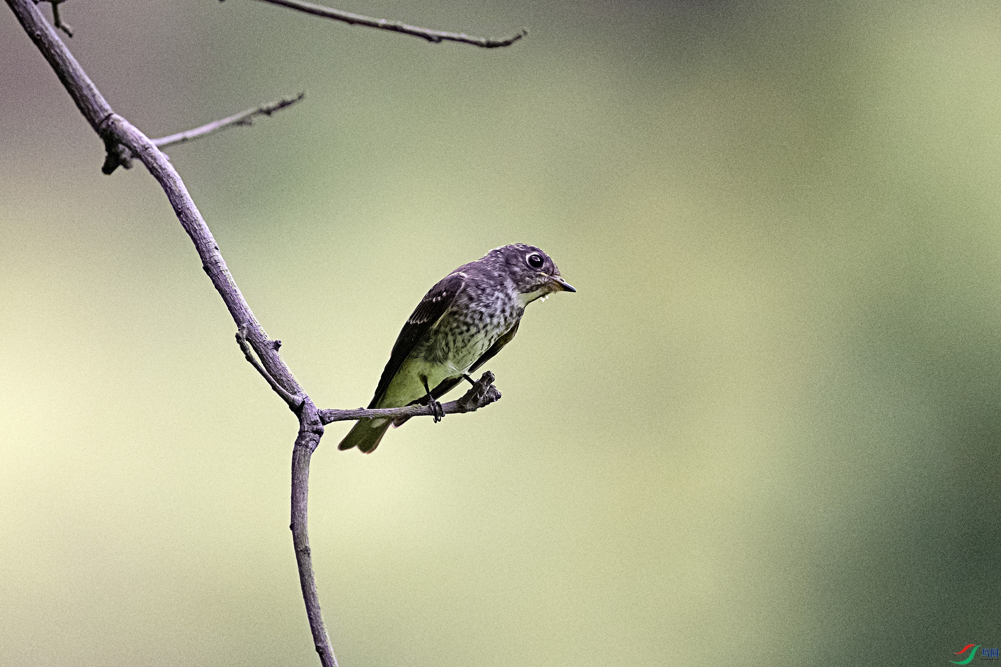 DSC_3470.jpg