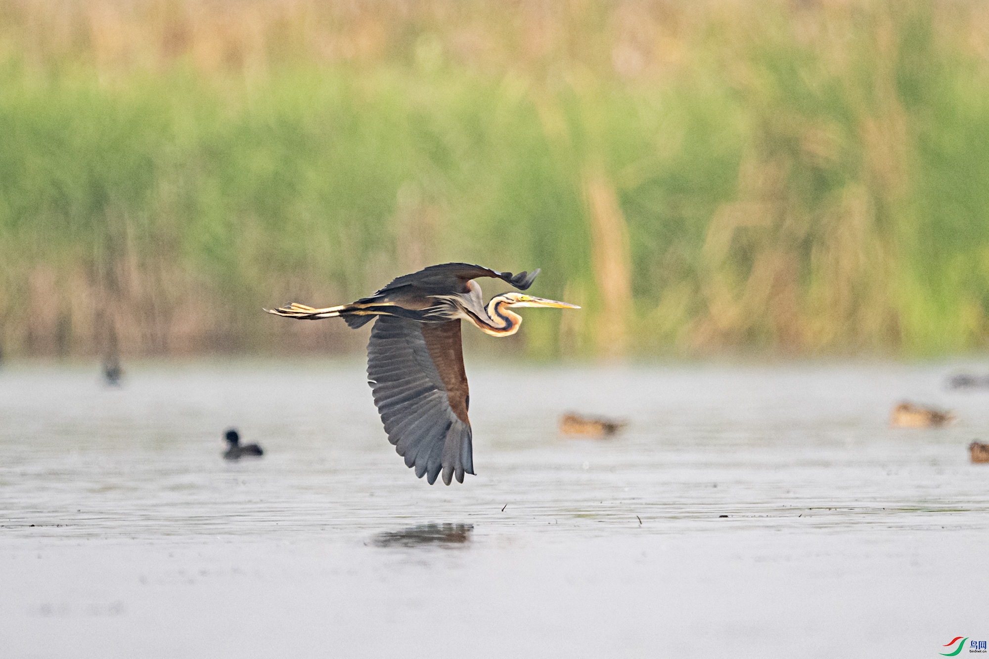 DSC_3645.jpg