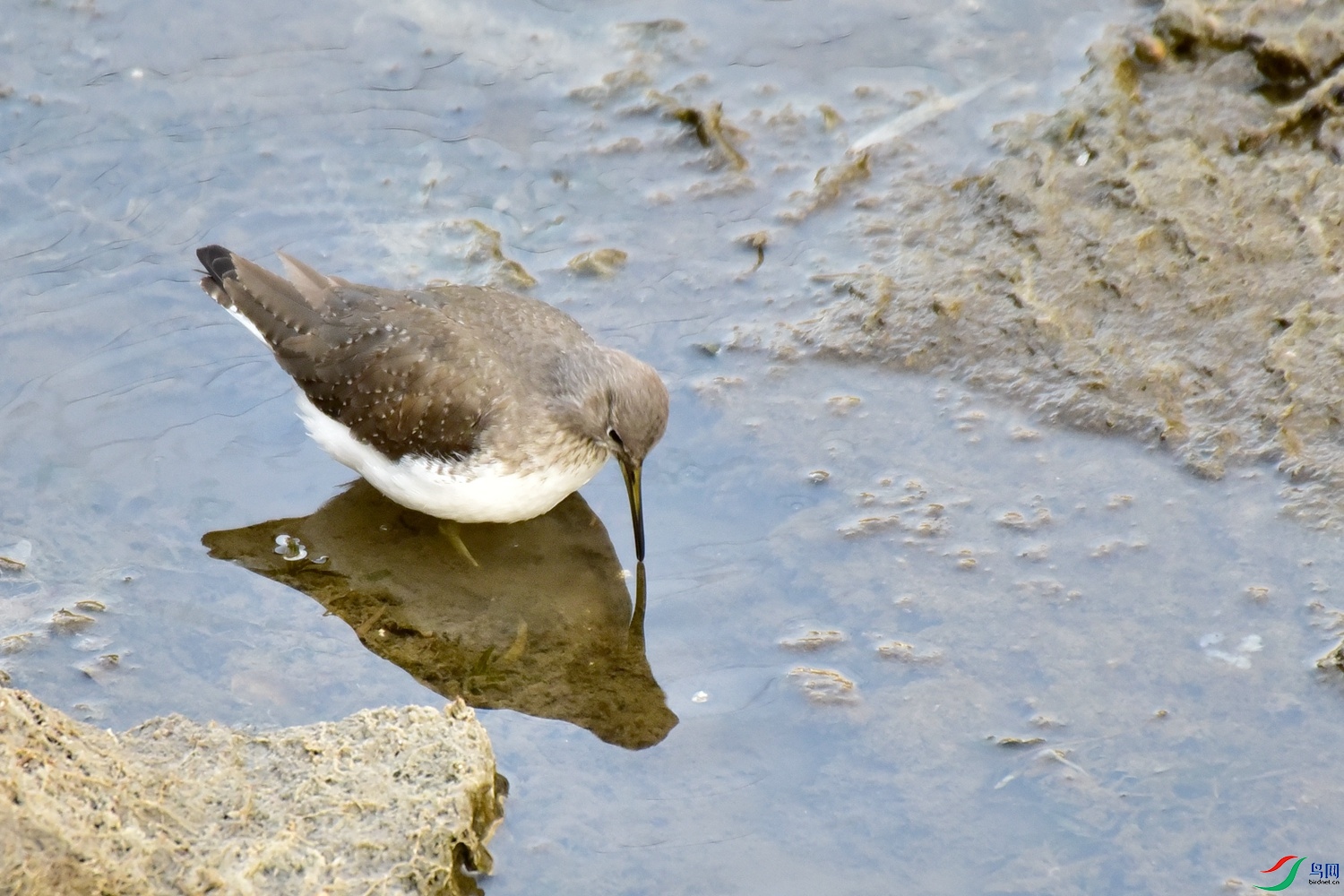 DSC_4635.JPG
