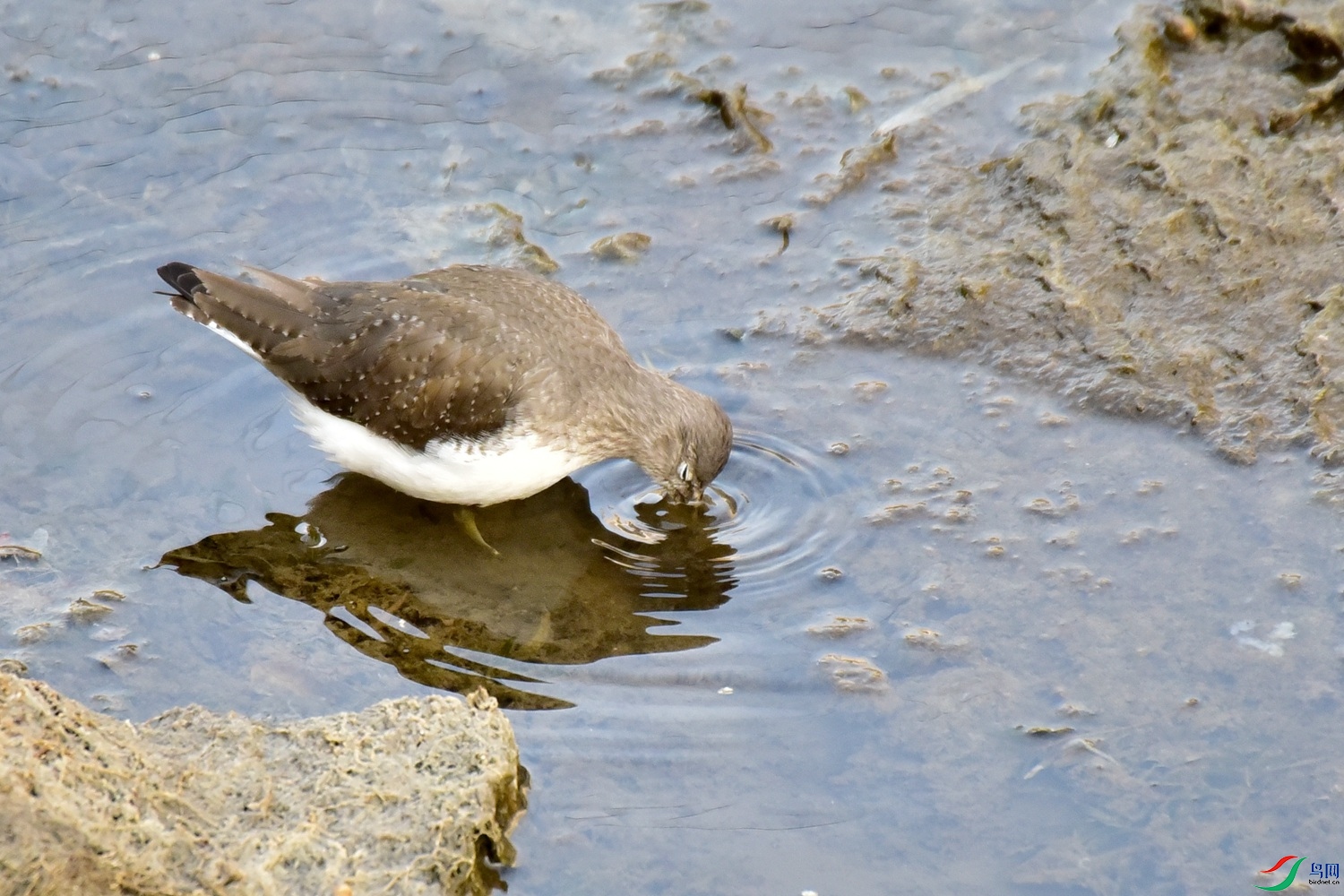 DSC_4638.JPG