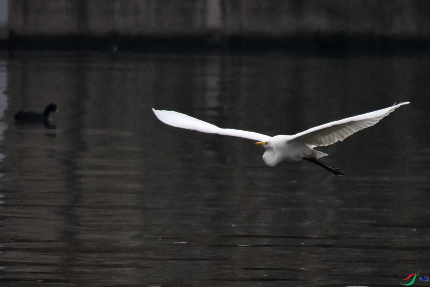 DSC_7191.JPG