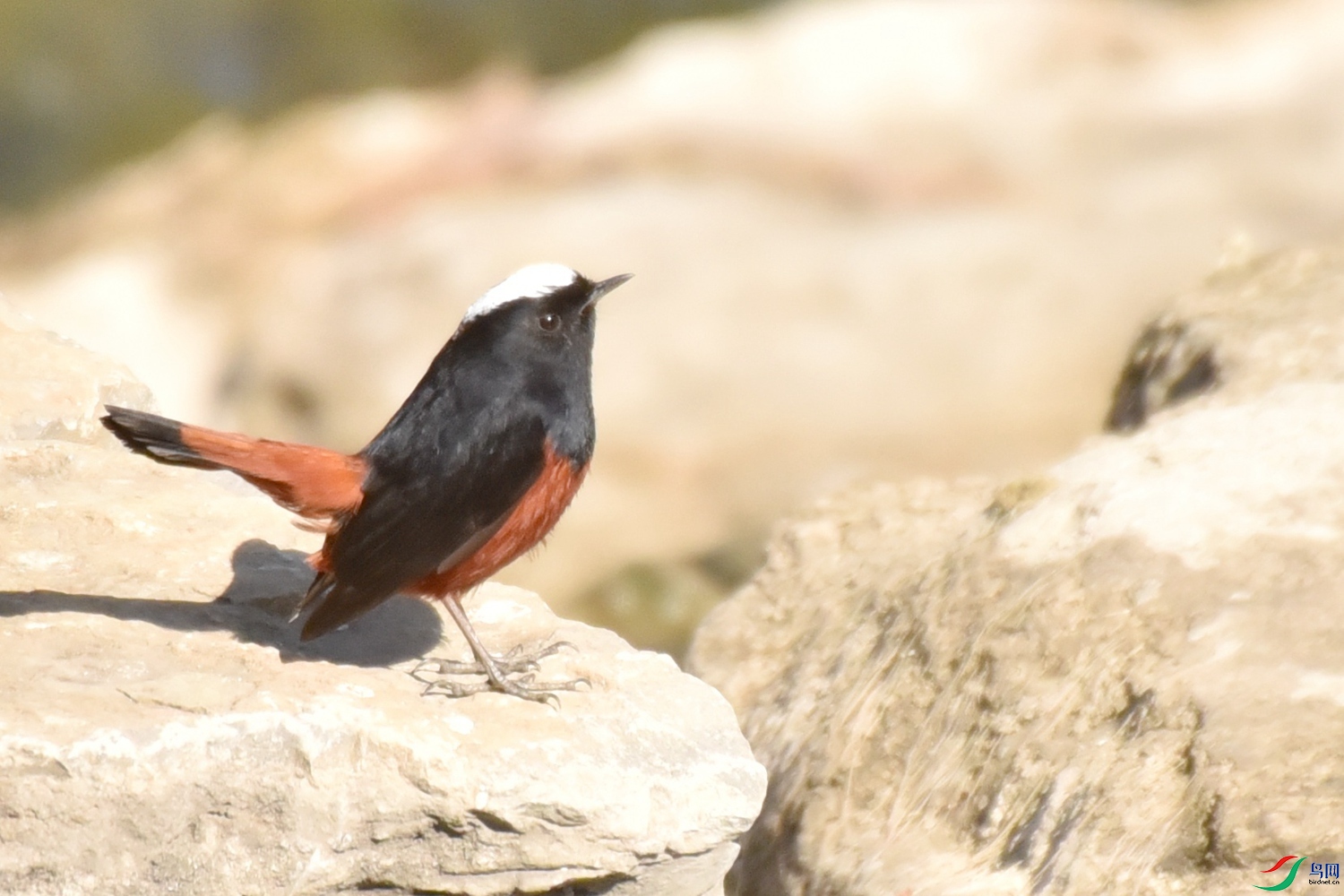 DSC_9607.JPG
