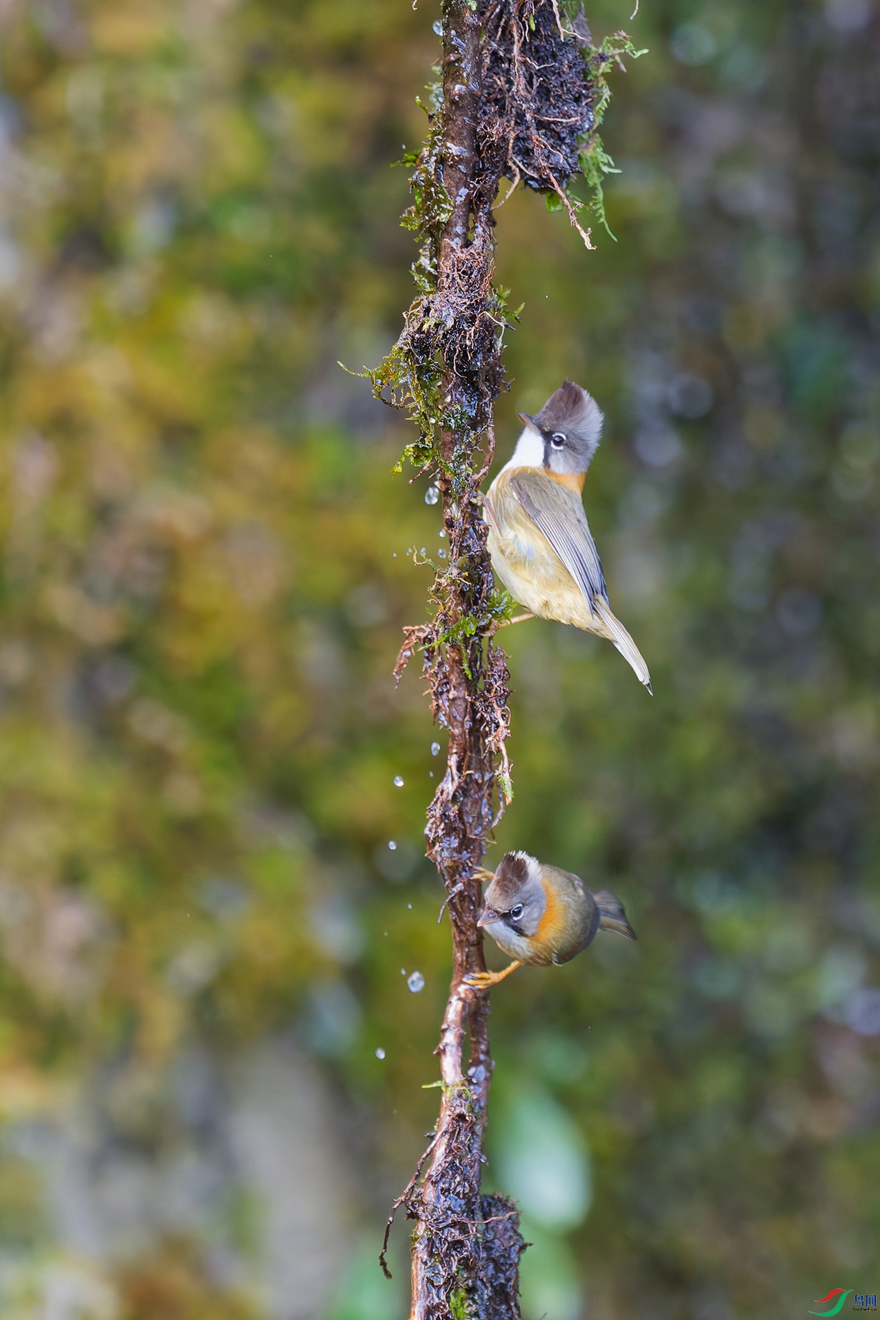 DSC_2798_DxO_DxOa.jpg
