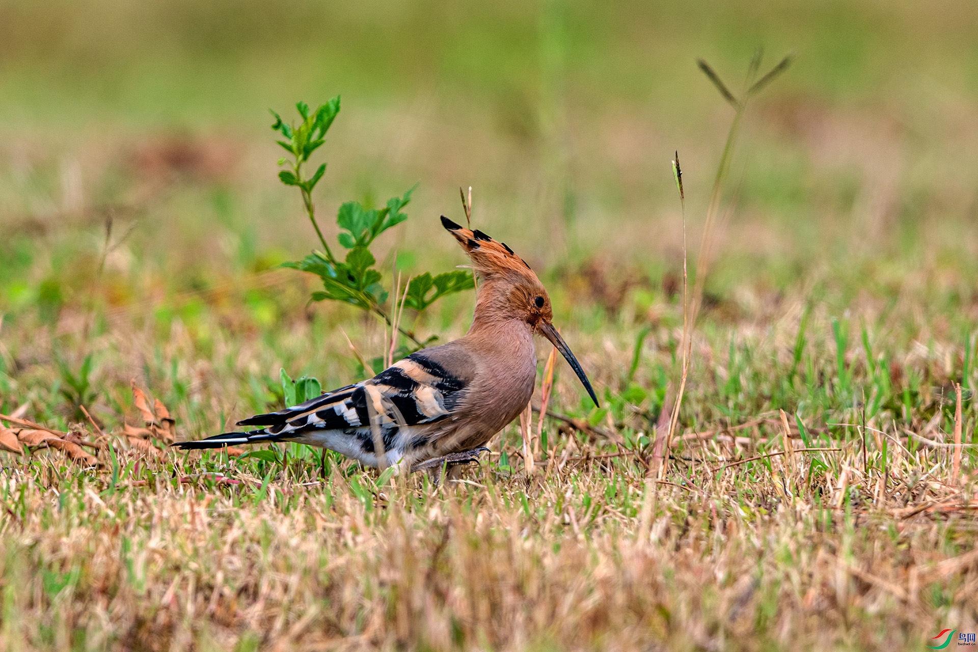 _AUU0349 ��ʤ(25.9.22).jpg