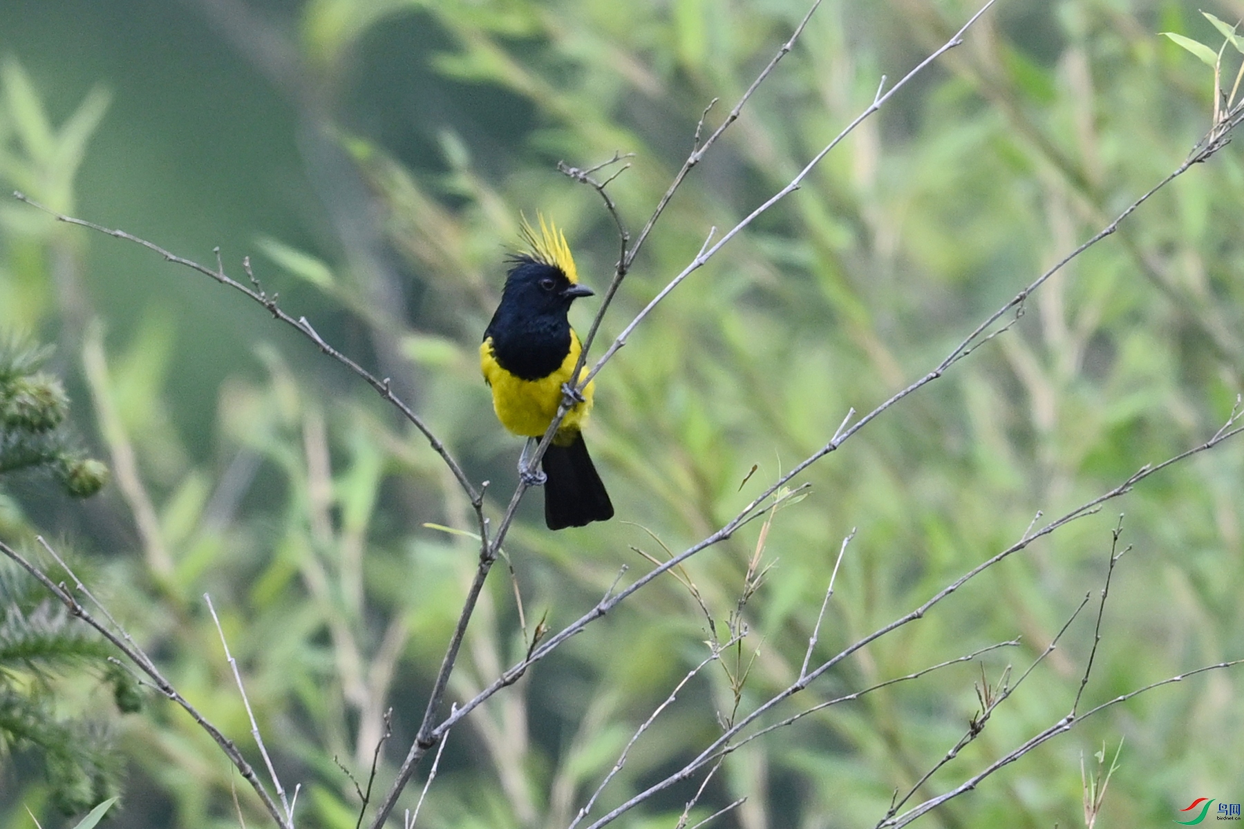 DSC_0464.JPG