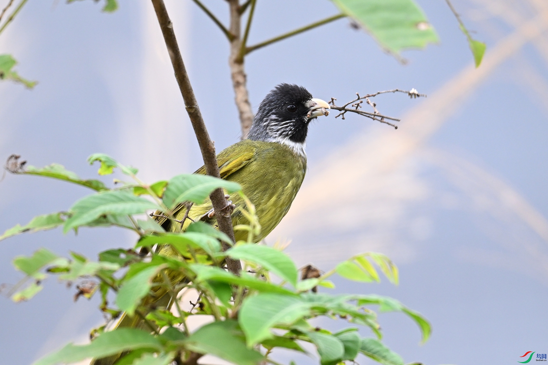 DSC_0458.JPG