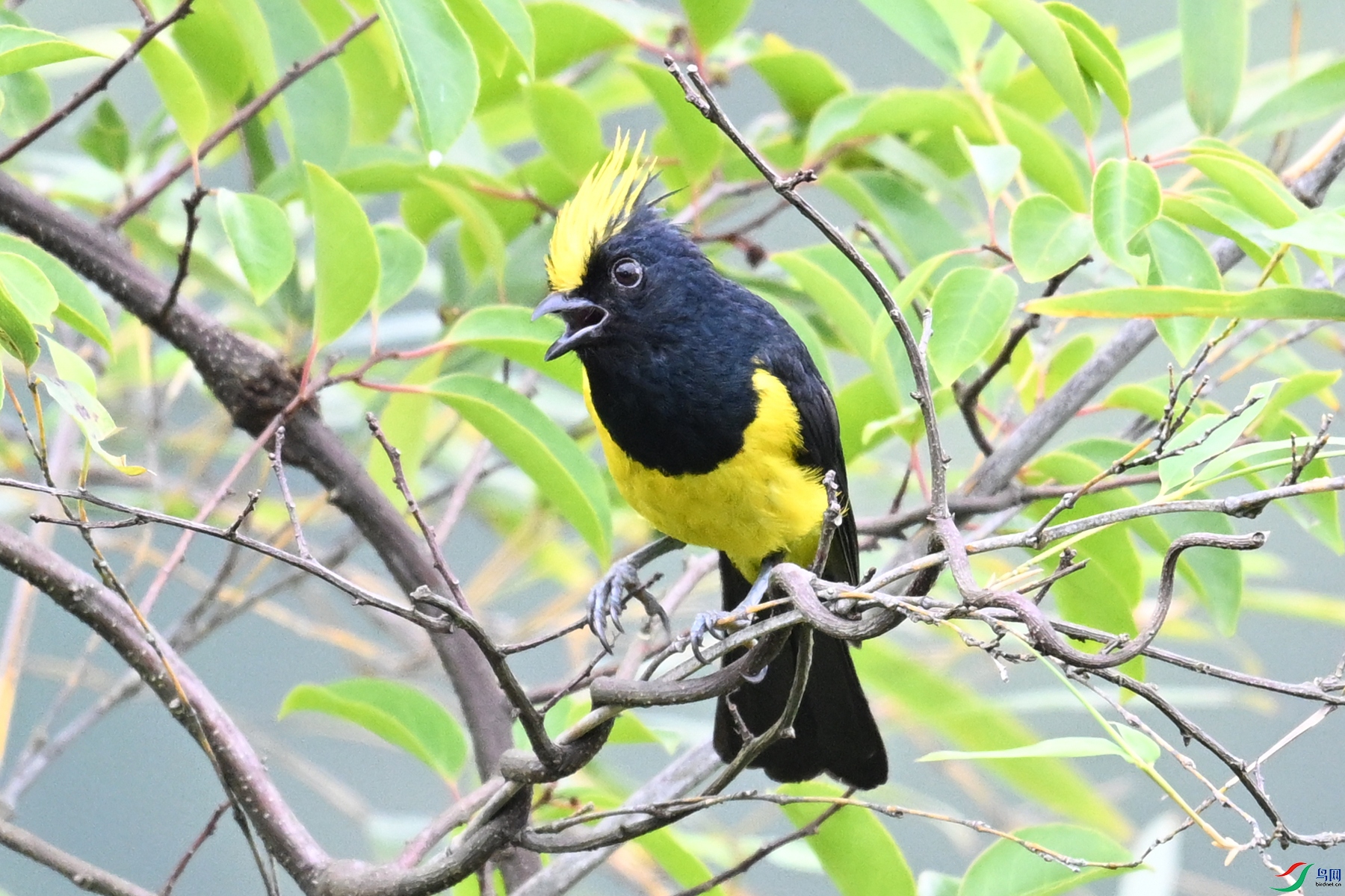 DSC_0476.JPG