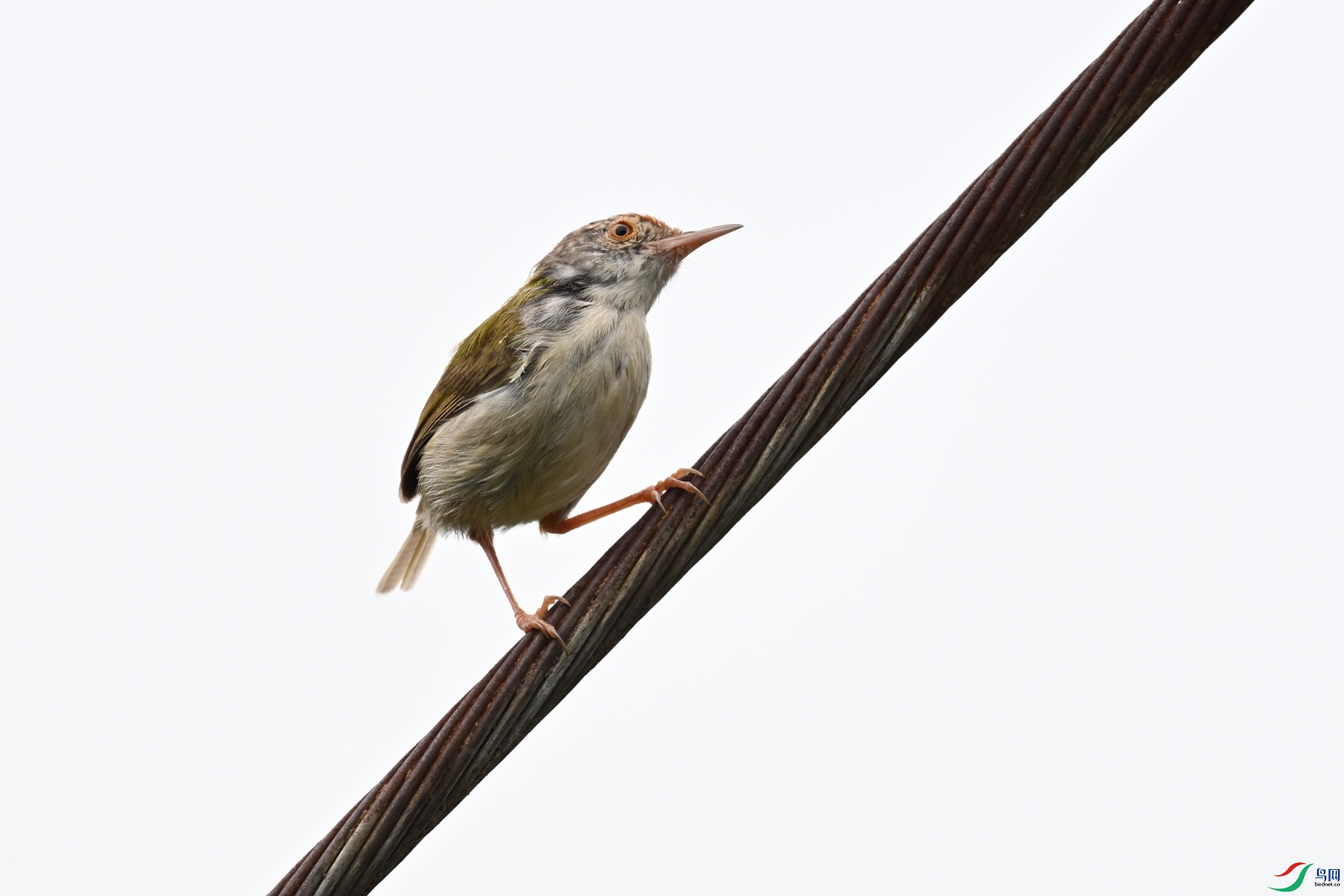 DSC_0447.JPG