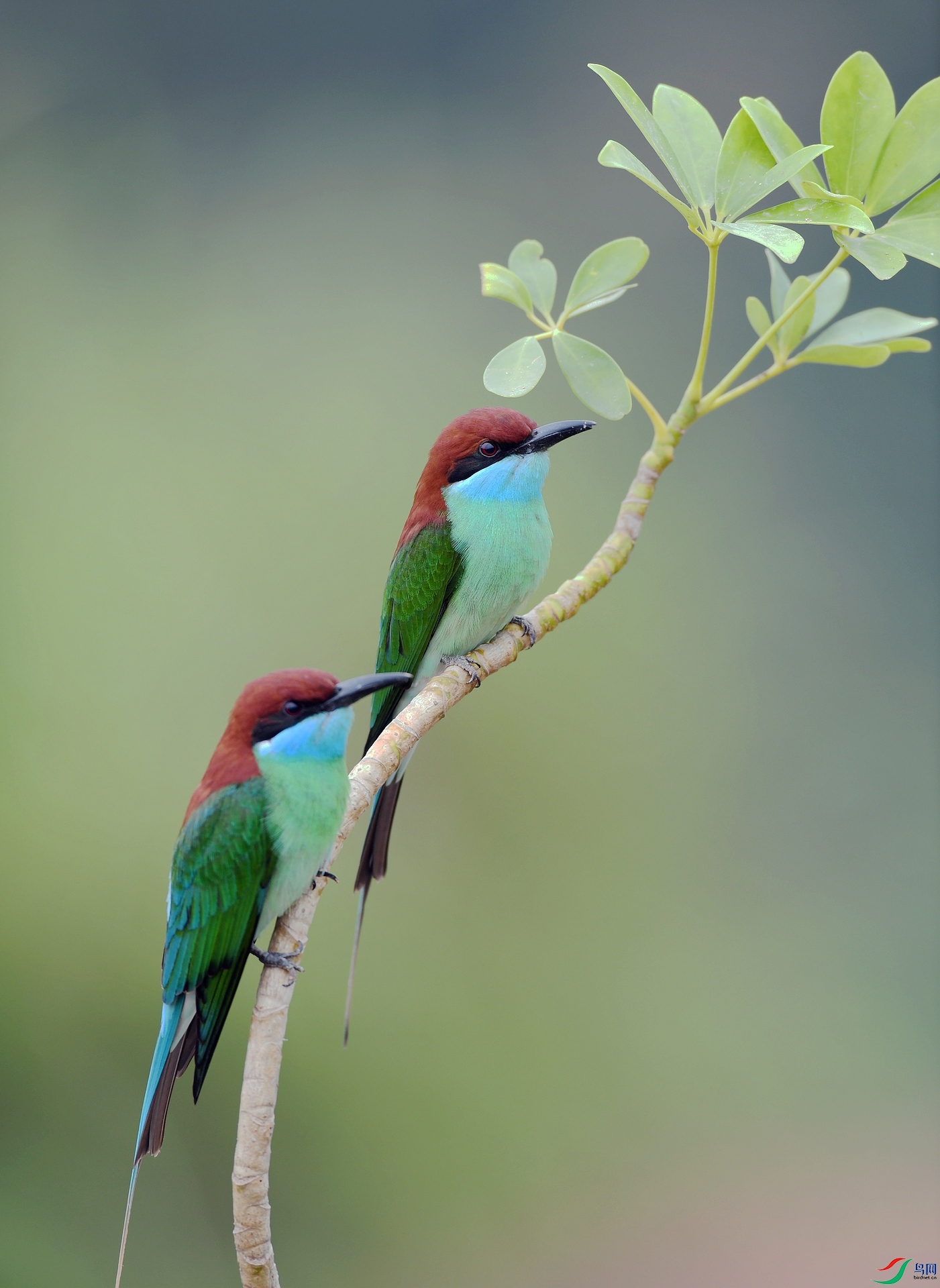 DSC_1011.jpg