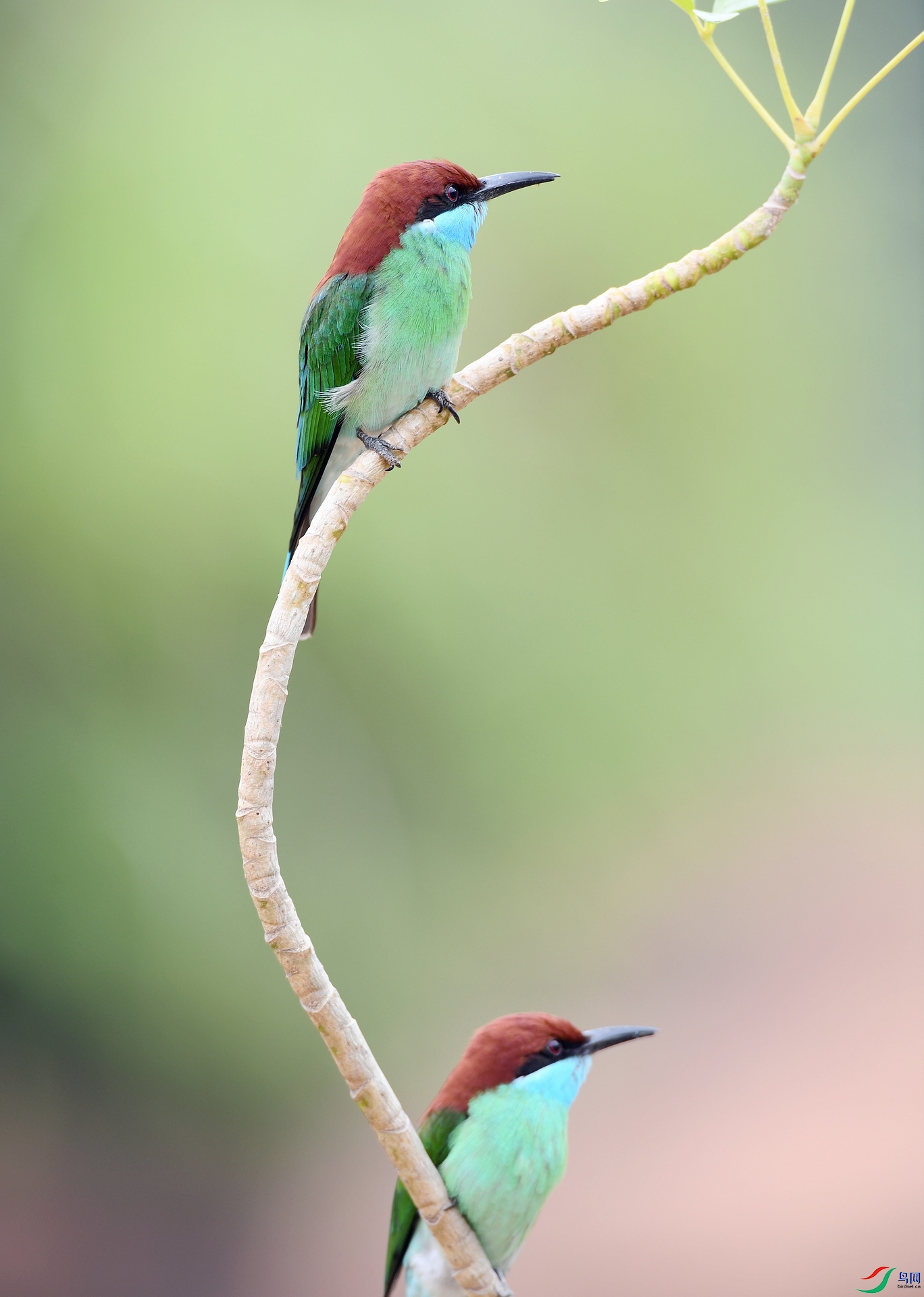 DSC_2092.jpg