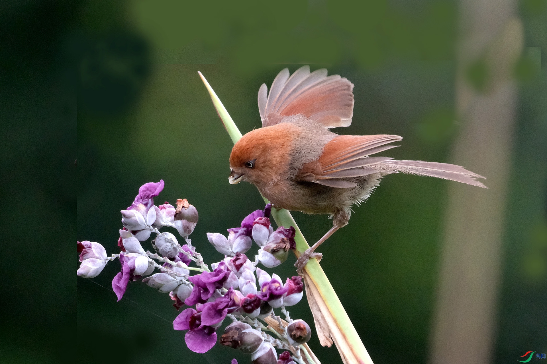 DSCF2748����.jpg