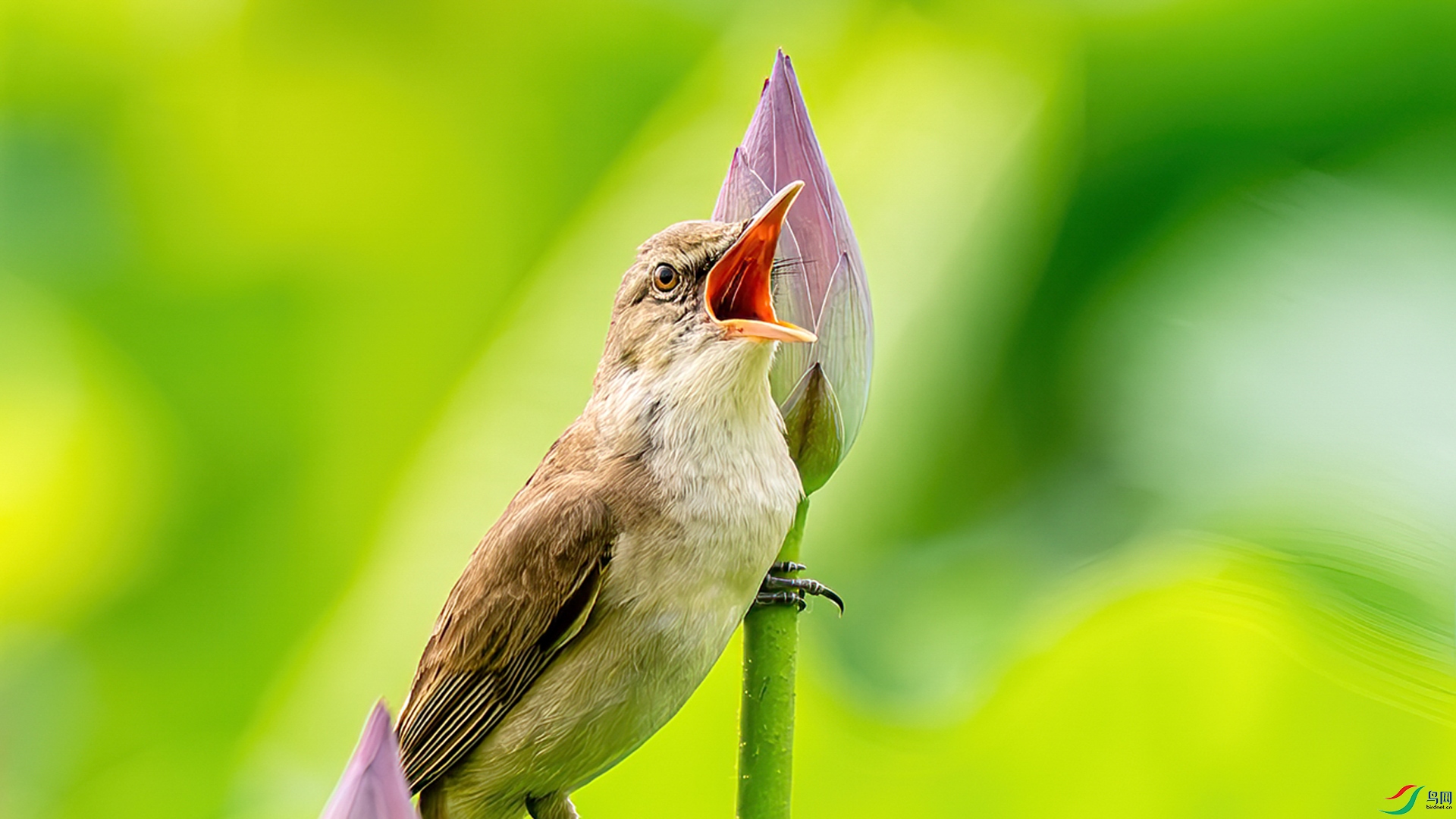 ba80ab8702be16f2307a9fe9327c43a6-1.jpg