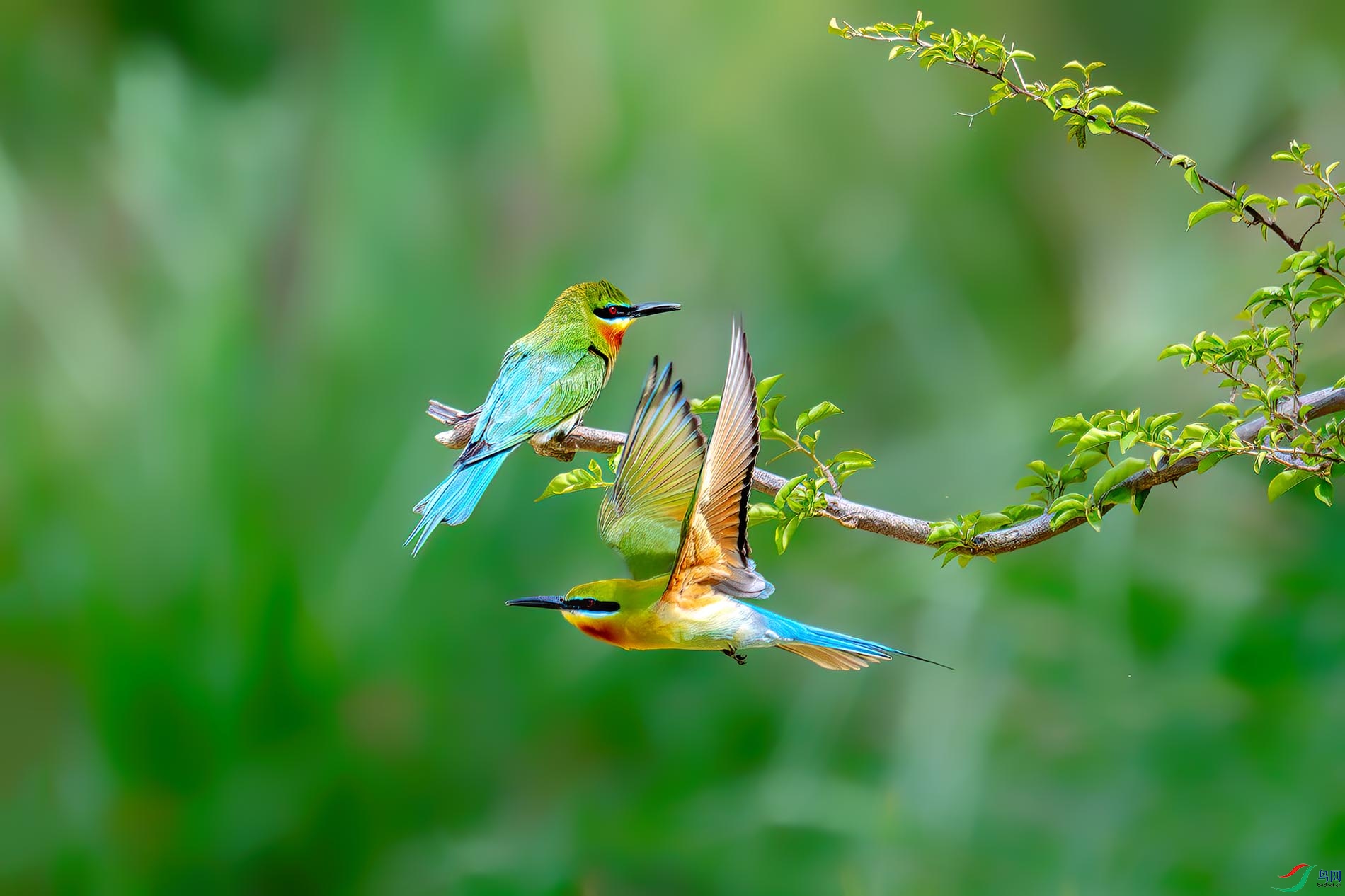 һ��һ�������Ǵ���