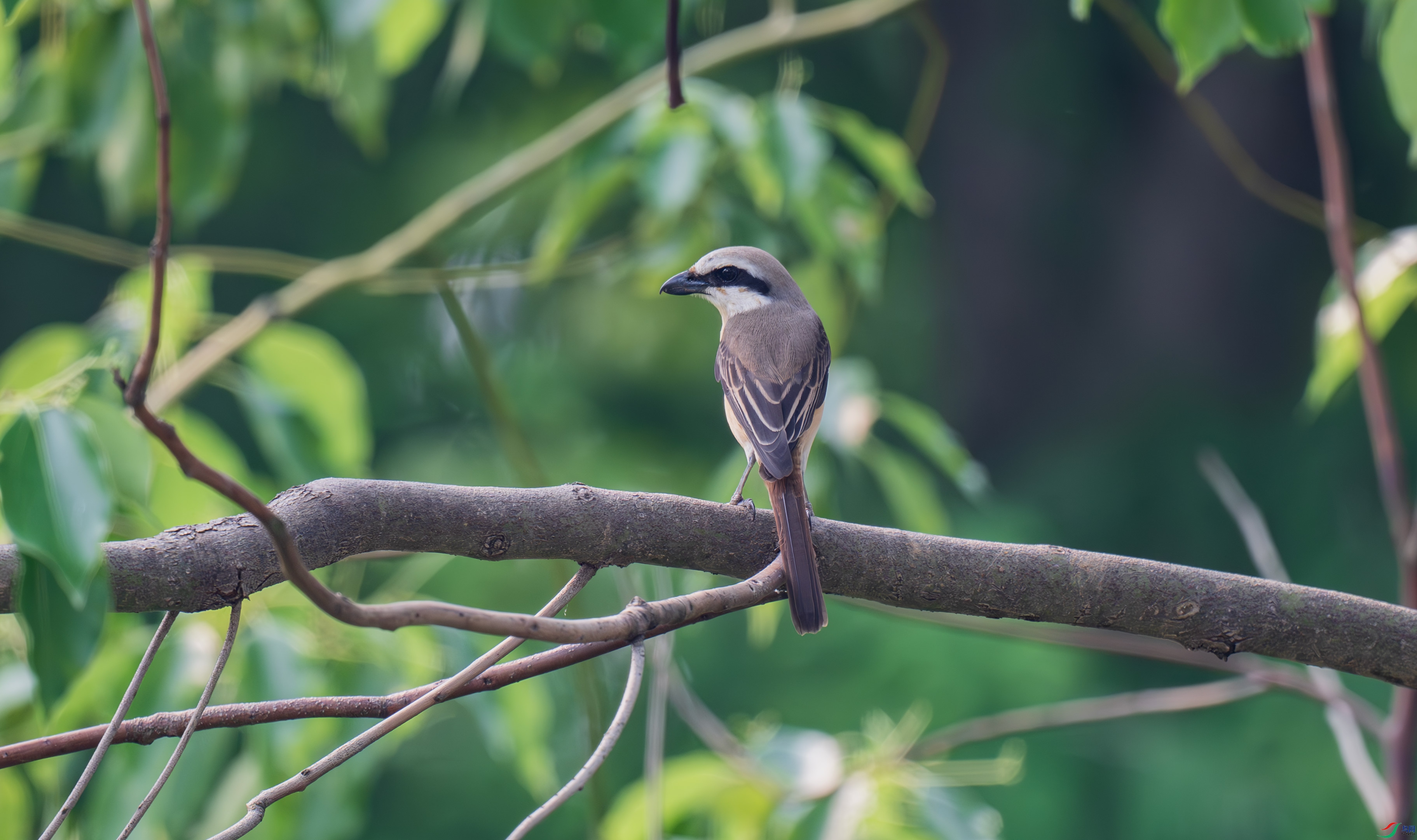 DSC_9240.jpg