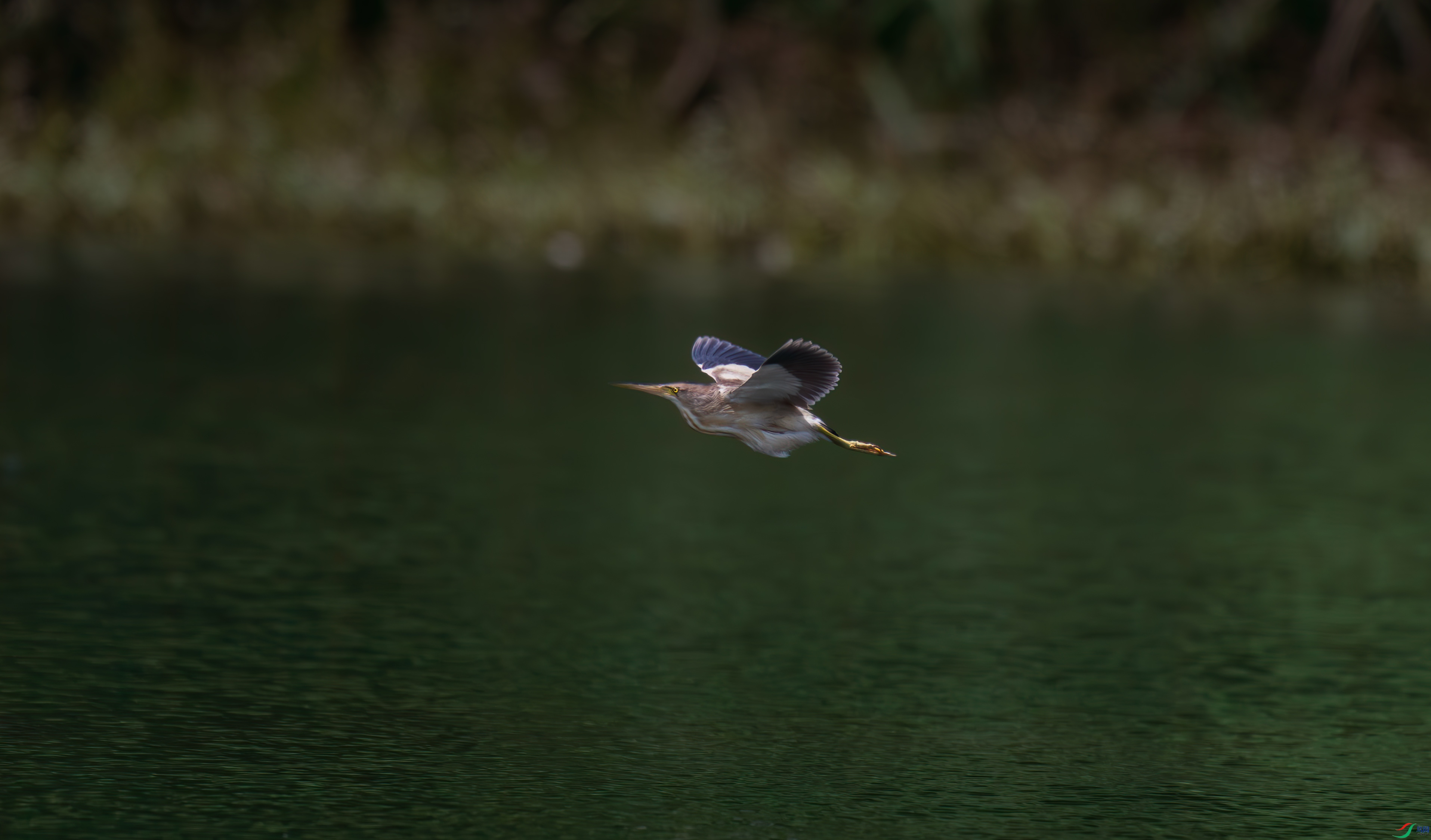 DSC_4144.jpg