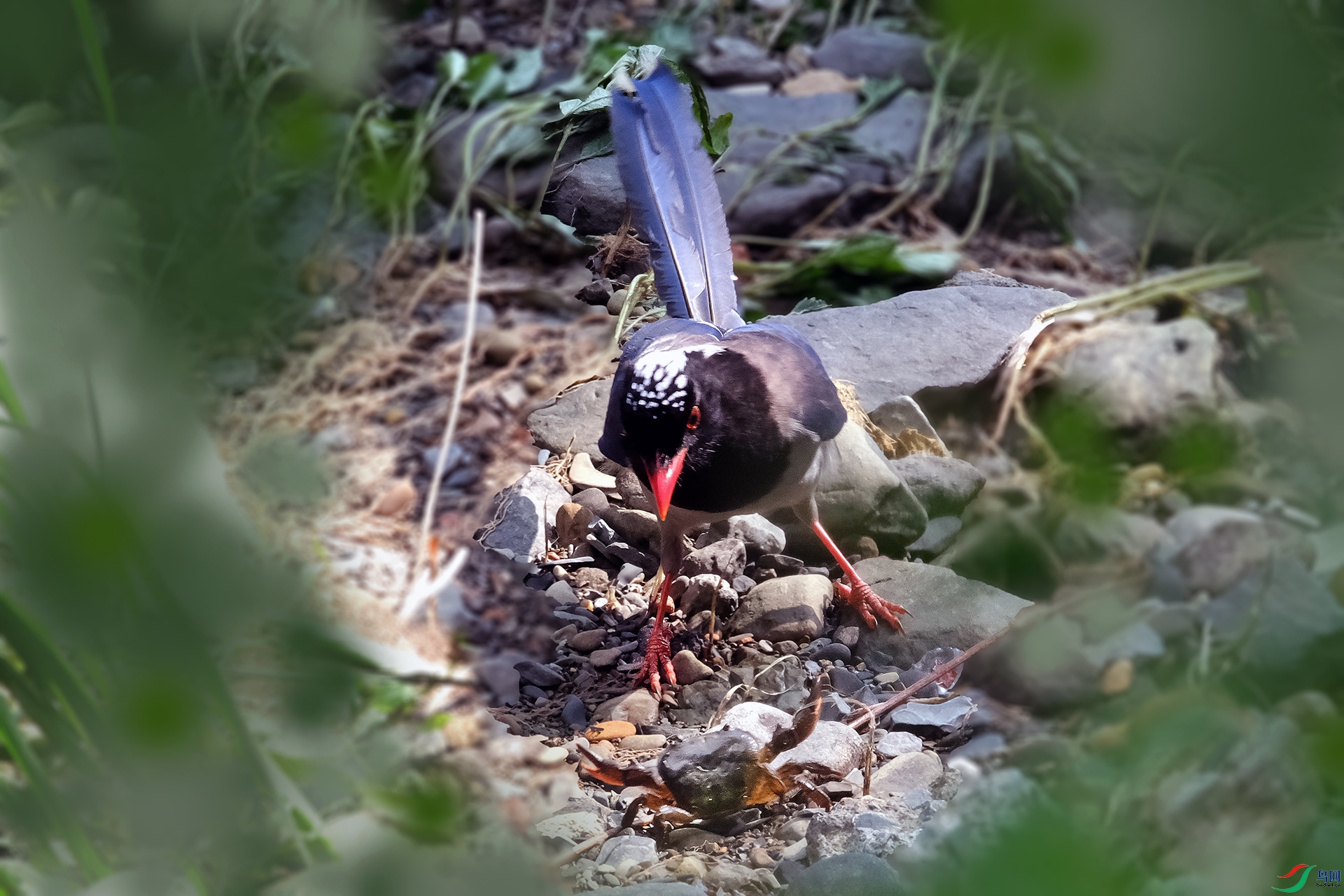 DSCF7987����.jpg